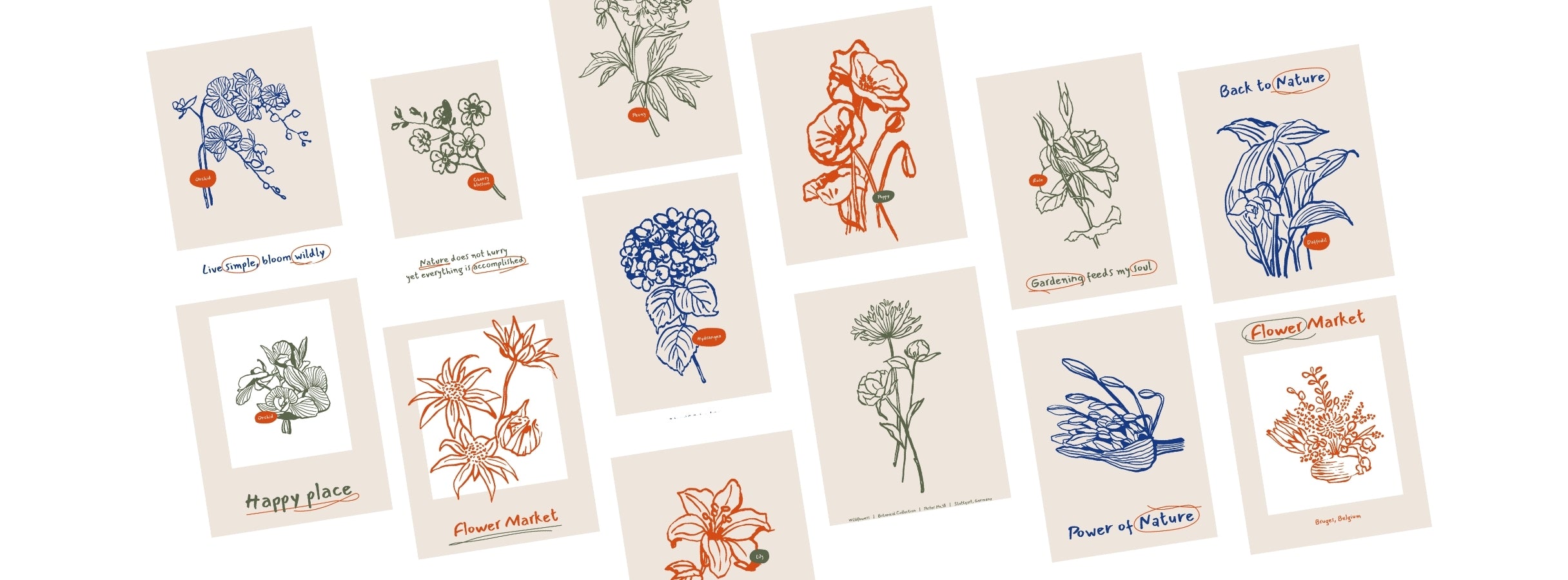 Botanik İllüstrasyon