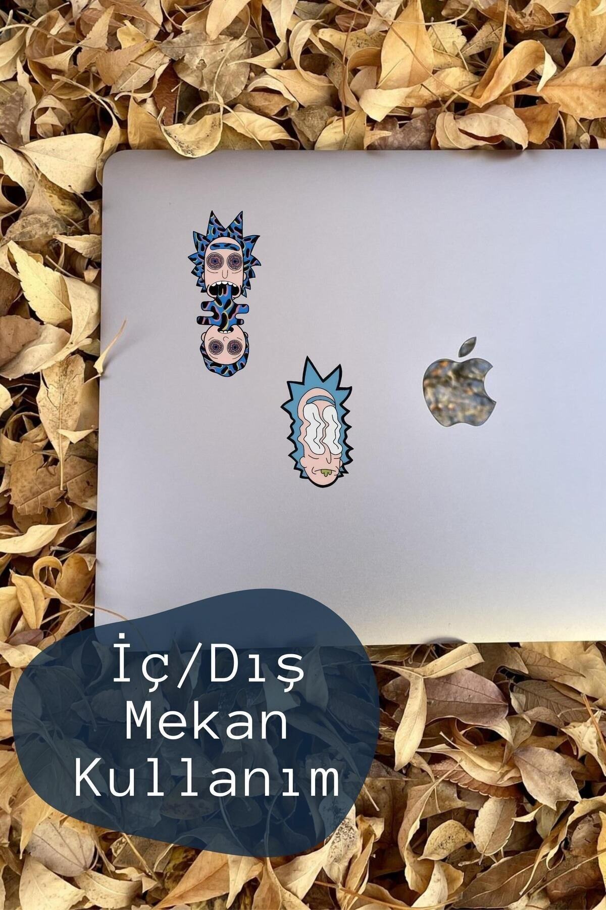 10 Adet Rick and Morty Sticker Seti - Telefon, Tablet, Defter, Laptop Sticker