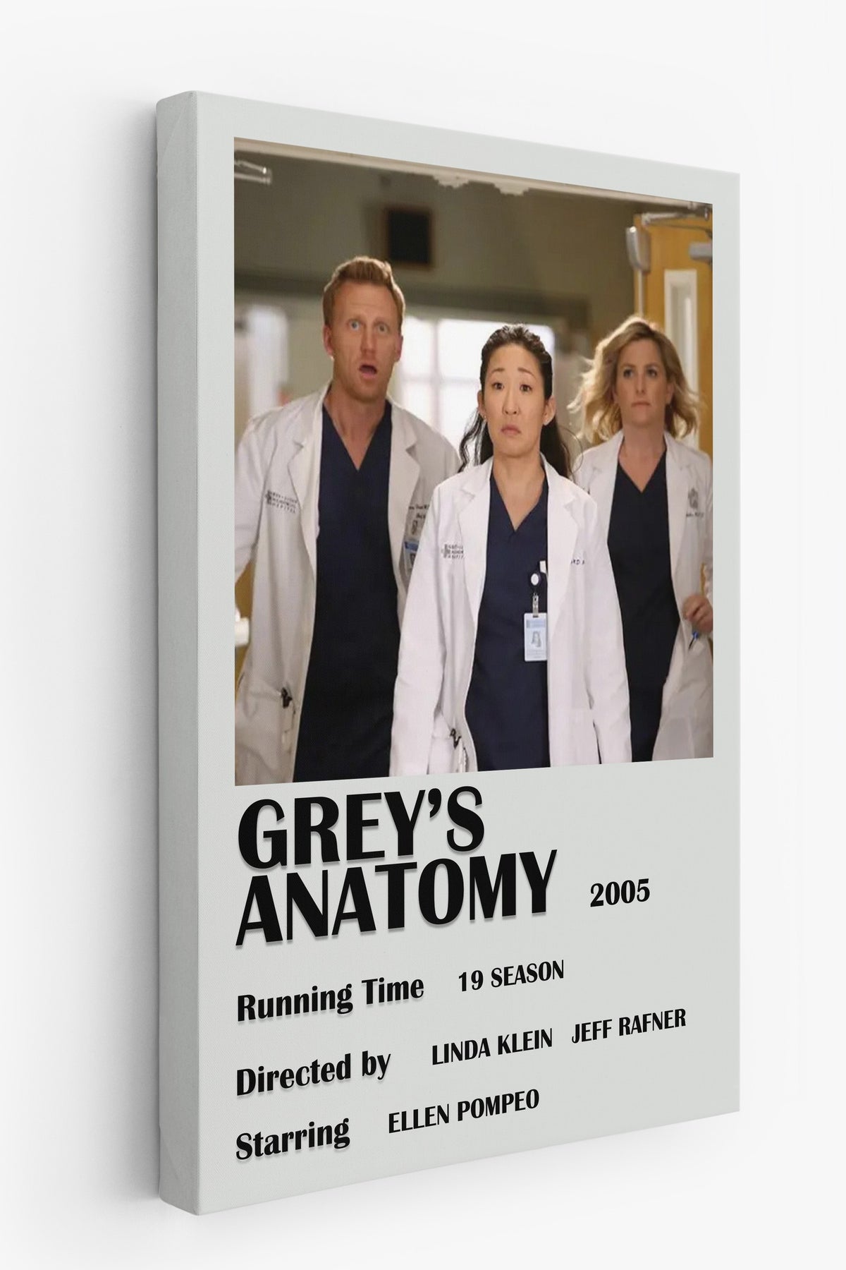 GREY'S ANATOMY Film Kanvas Tablo