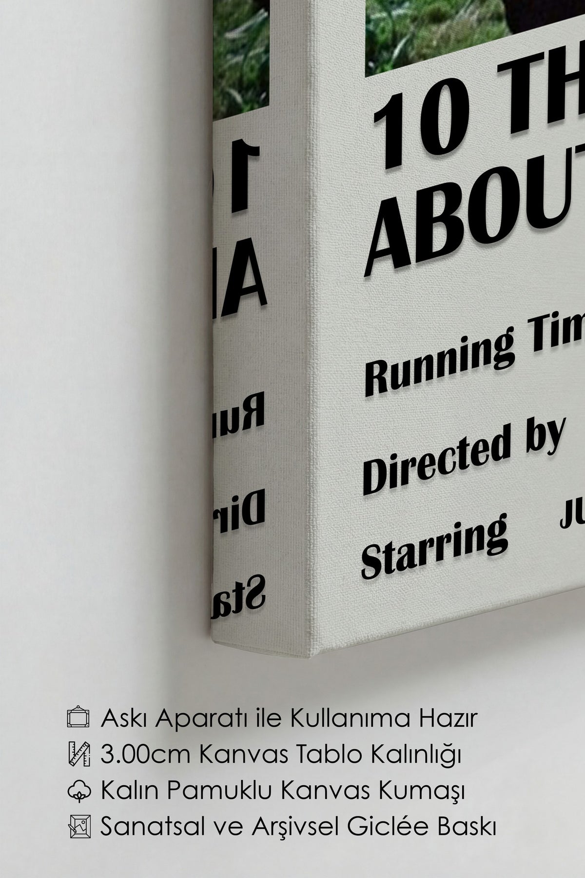 10 THINGS I HATE ABOUT YOU Film Kanvas Tablo