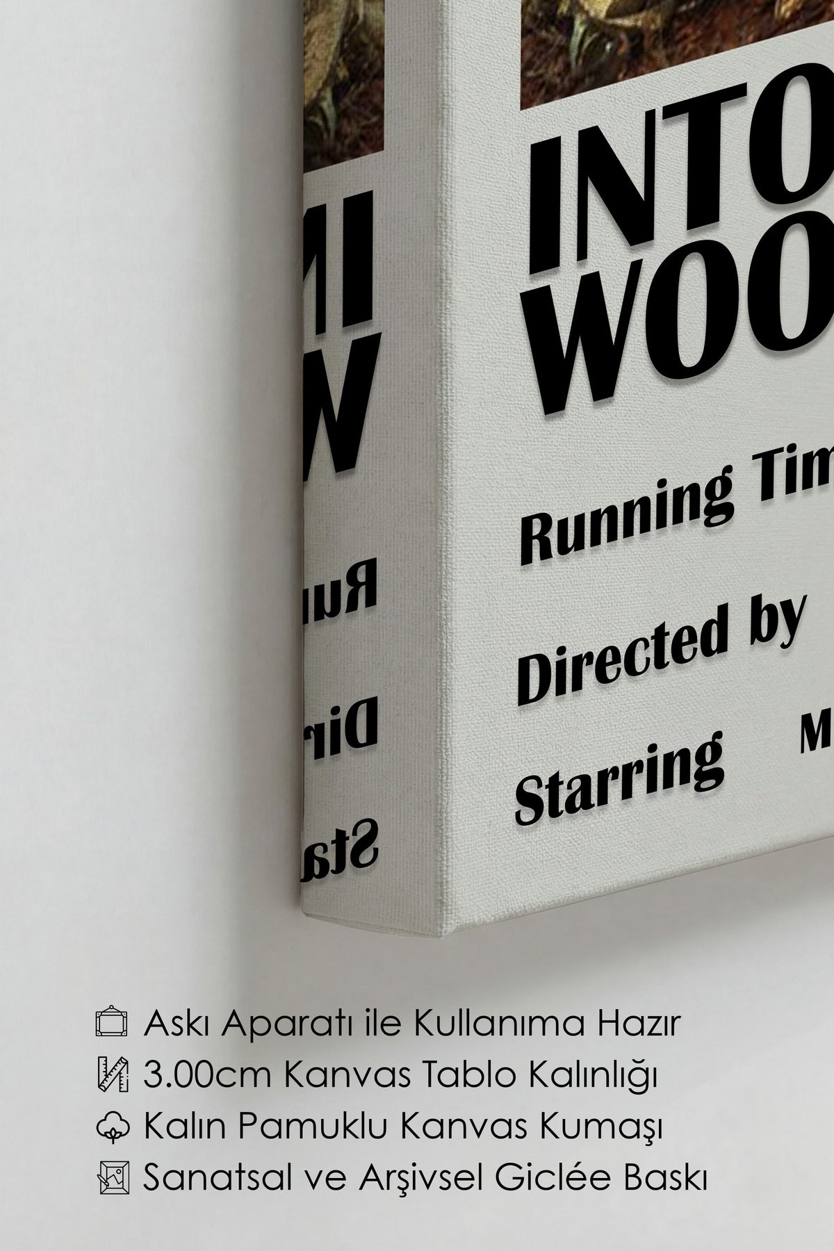 INTO THE WOODS 2014 Film Kanvas Tablo