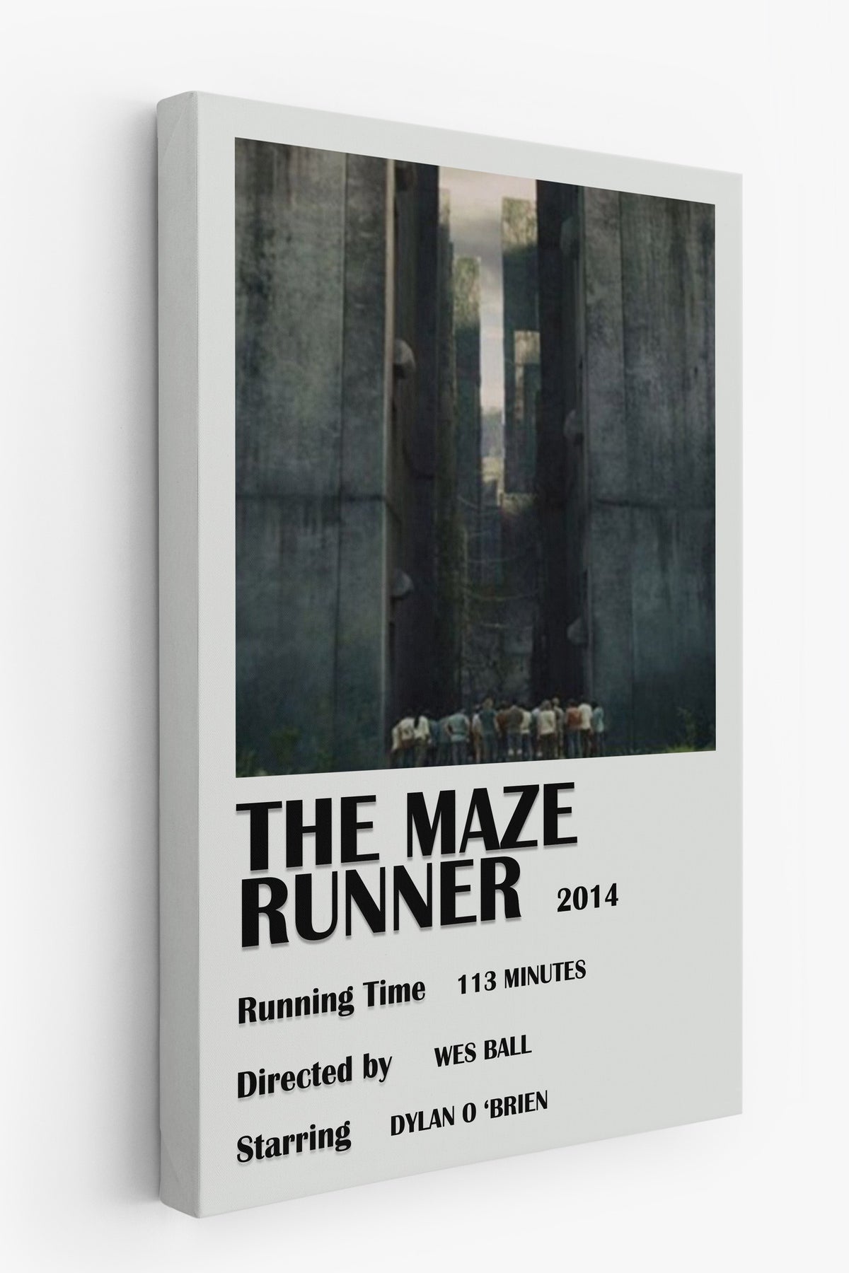 THE MAZE RUNNER Film Kanvas Tablo