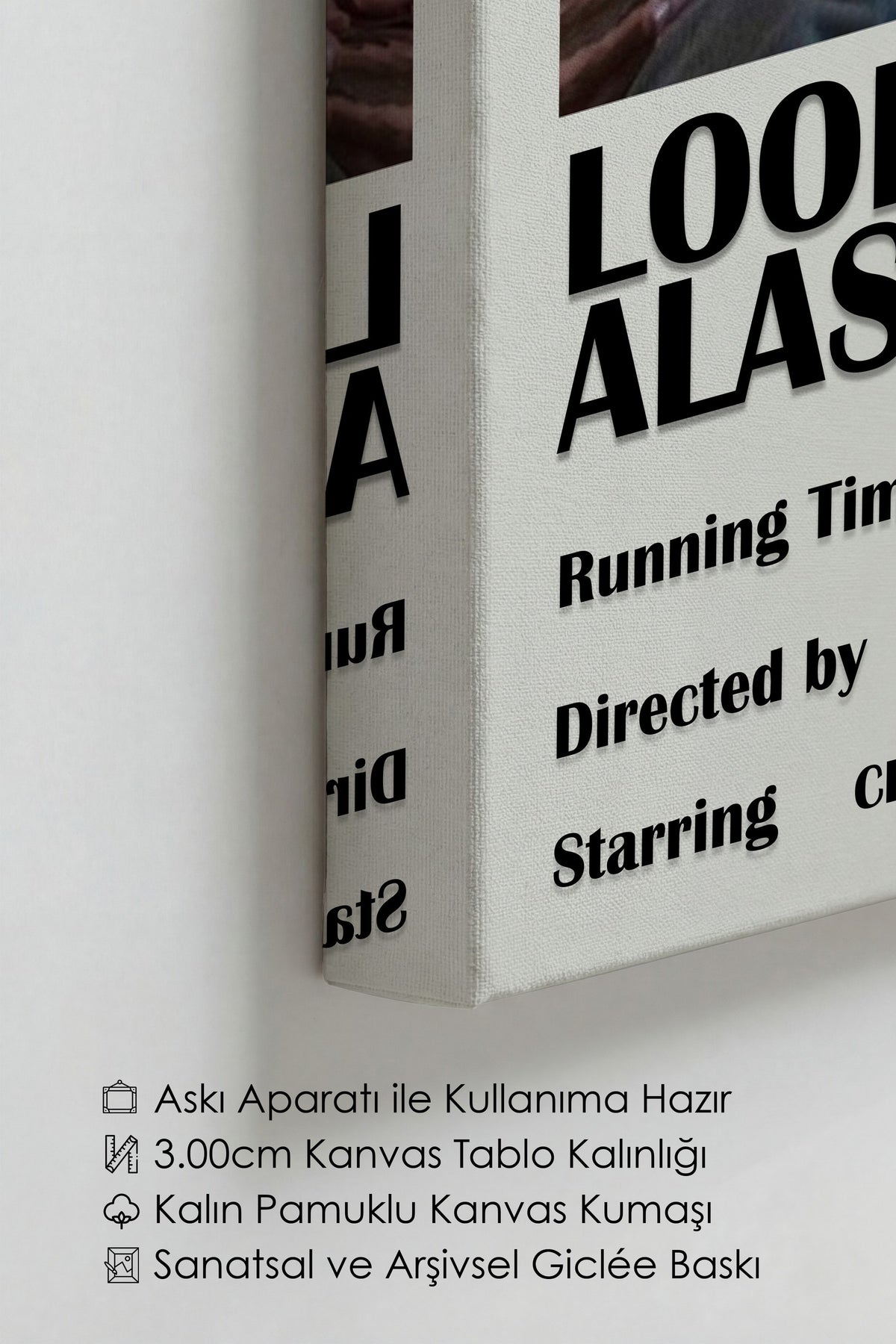 LOOKING FOR ALASKA Film Kanvas Tablo