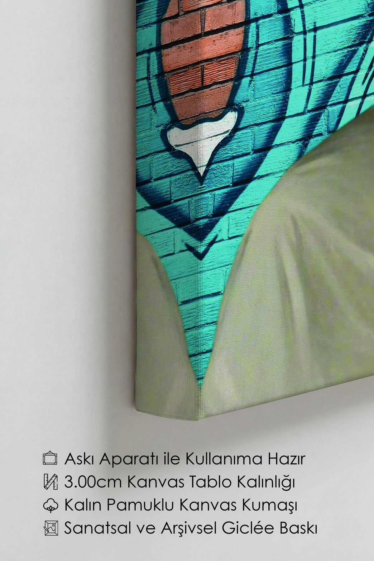 Renkli Portre ve Graffiti Alternatif Sanat Kanvas Tablo