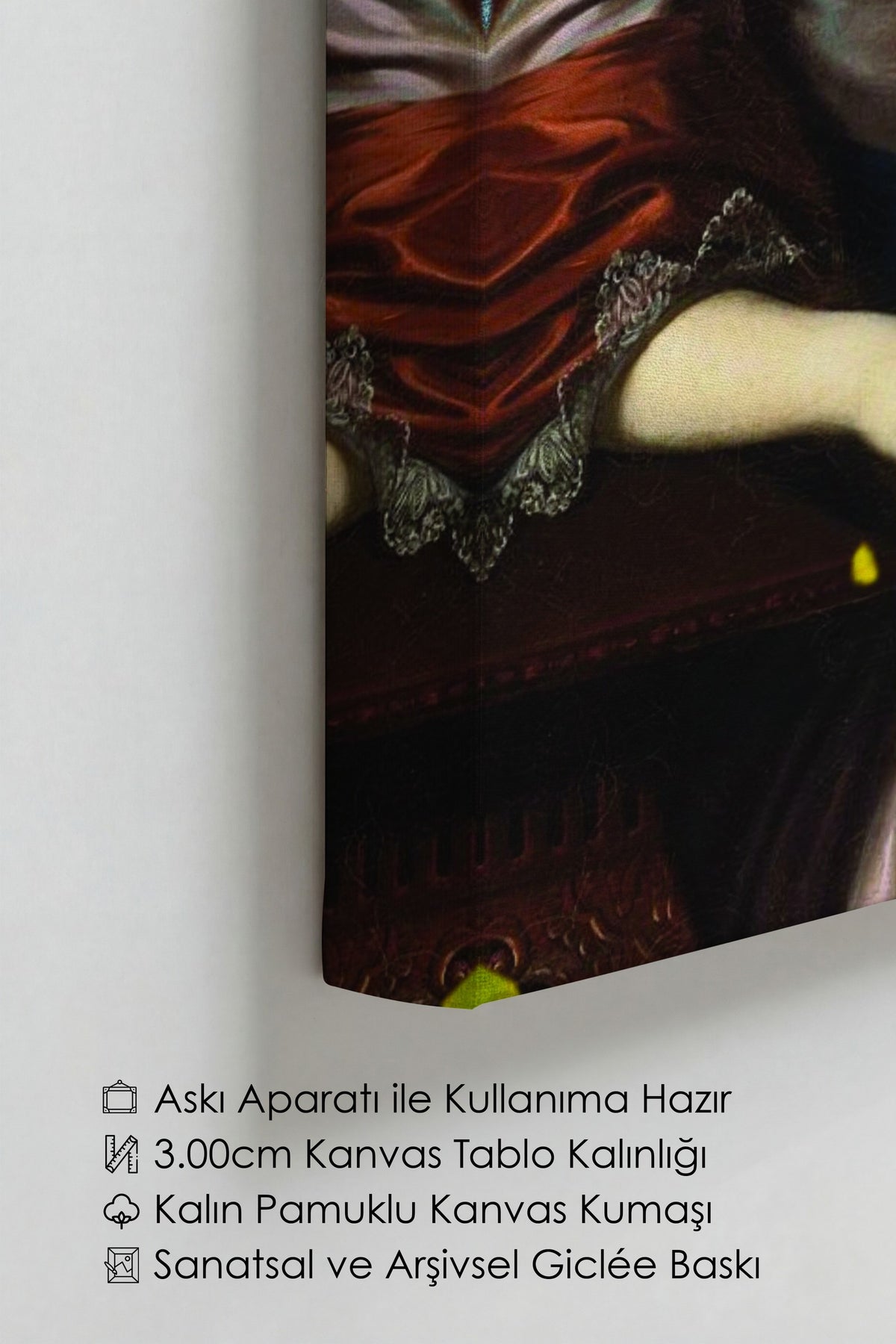 Modern Yorumlu Klasik Portre Alternatif Sanat Kanvas Tablo