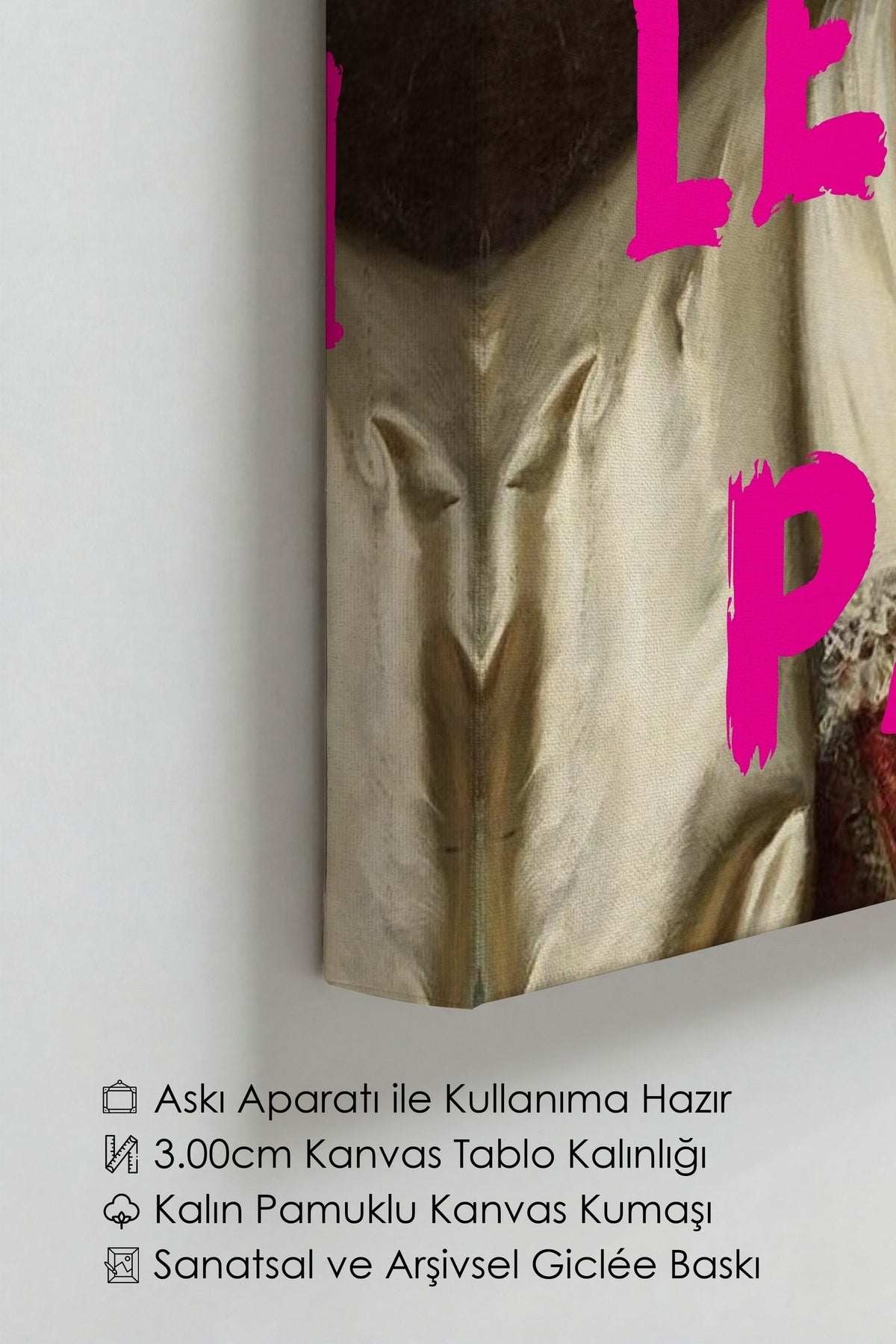 Değiştirilmiş Sanat Alternatif Sanat Kanvas Tablo — NO:105144