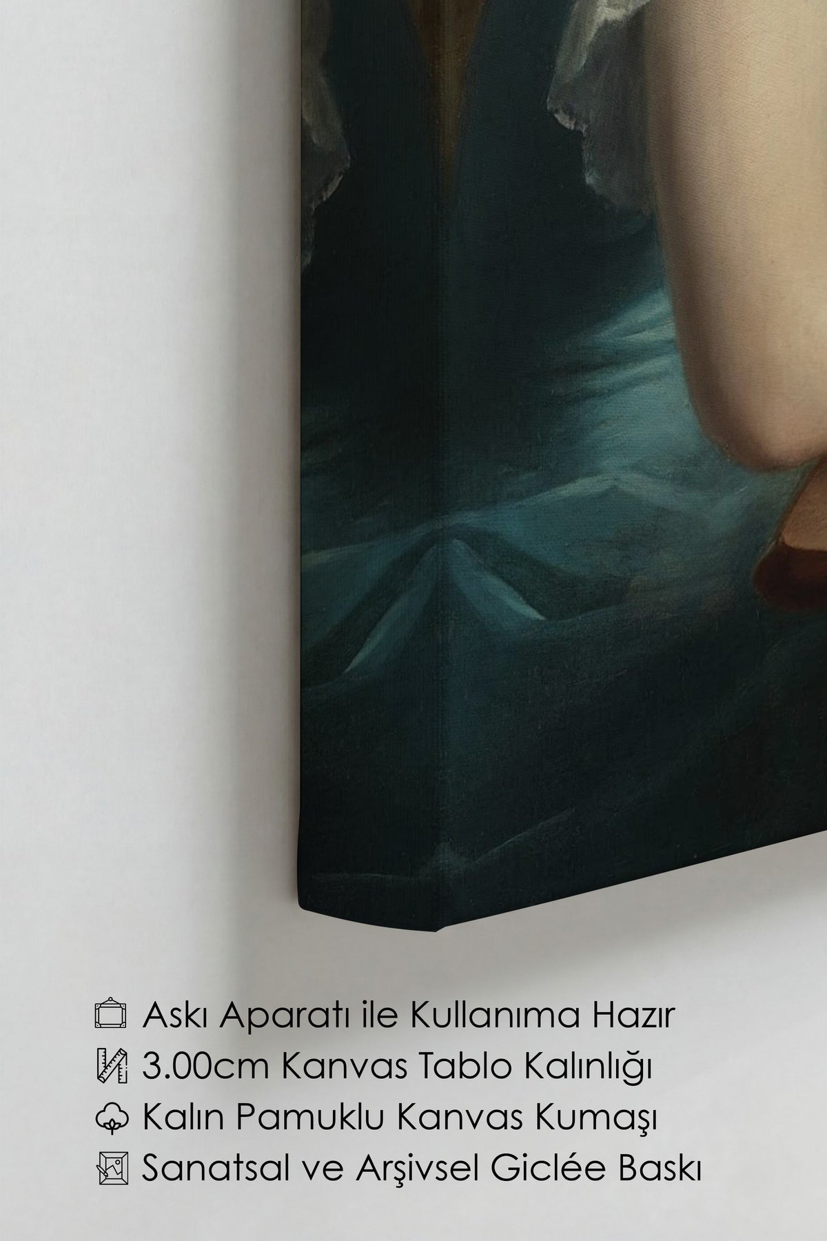 Değiştirilmiş Sanat Alternatif Sanat Kanvas Tablo — NO:105153
