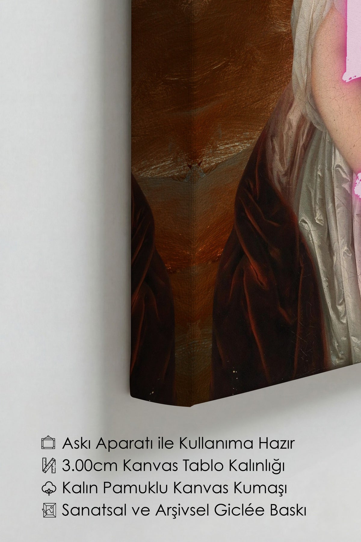 Değiştirilmiş Sanat Alternatif Sanat Kanvas Tablo — NO:105154