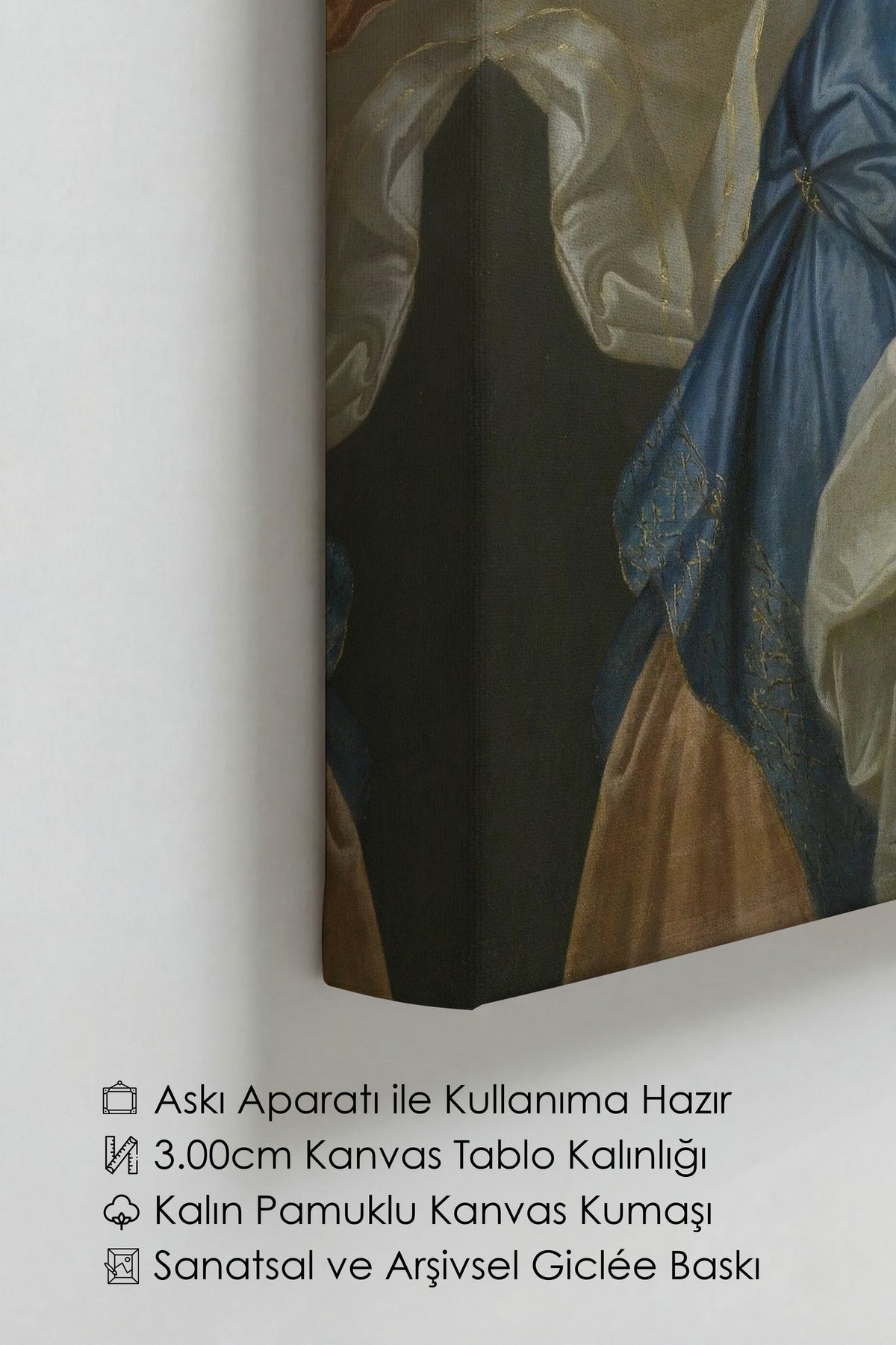 Değiştirilmiş Sanat Alternatif Sanat Kanvas Tablo — NO:105156