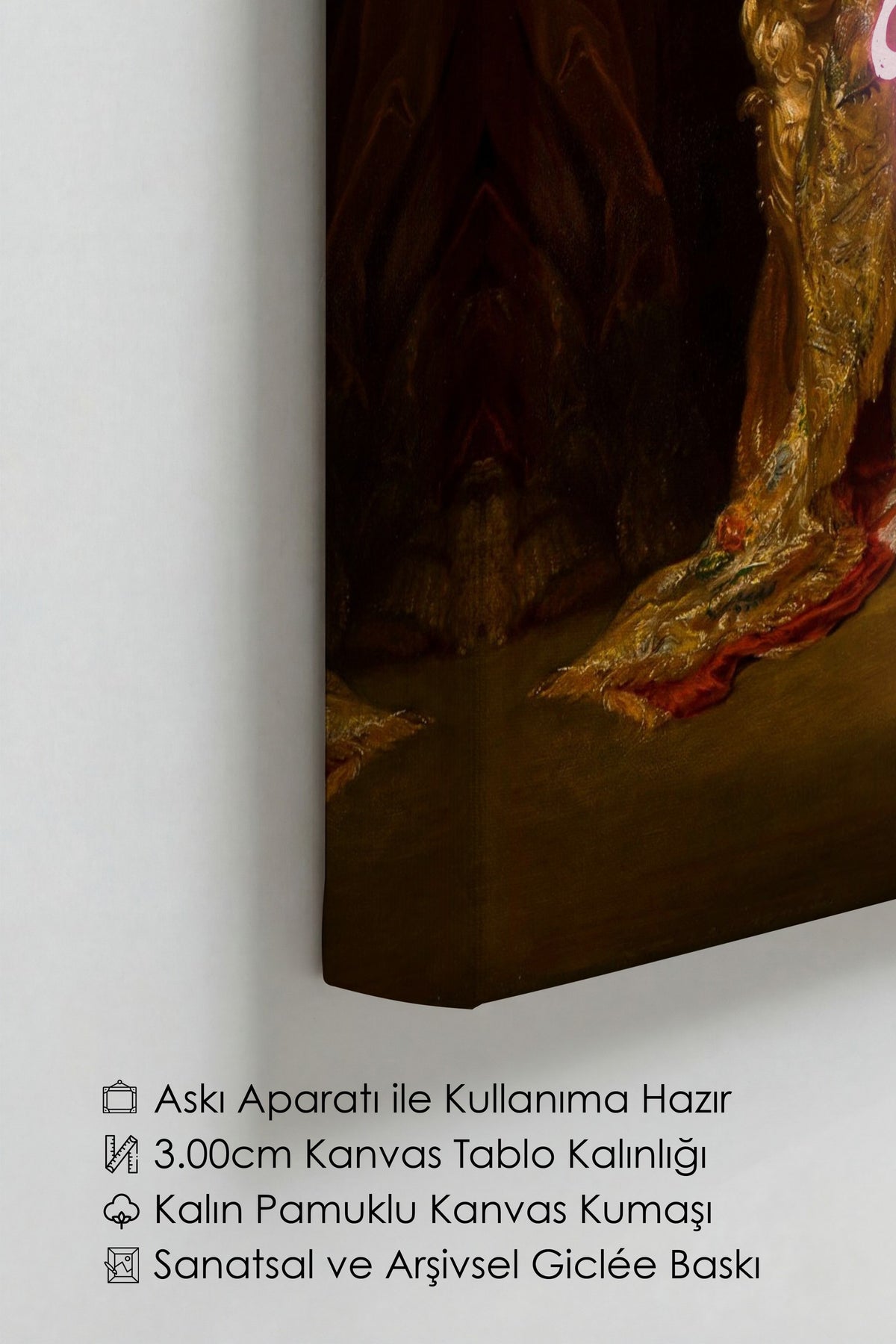 Değiştirilmiş Sanat Alternatif Sanat Kanvas Tablo — NO:105163