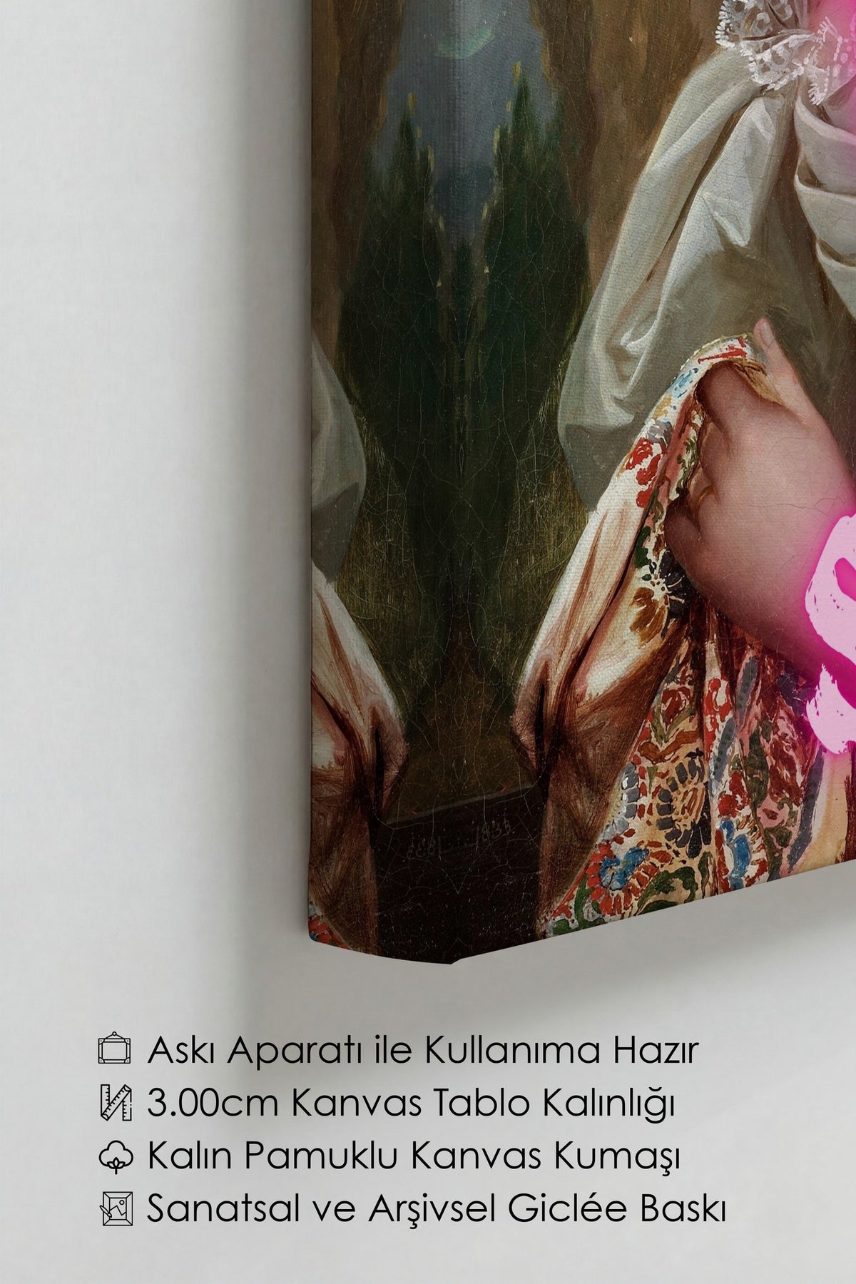 Değiştirilmiş Sanat Alternatif Sanat Kanvas Tablo — NO:105169