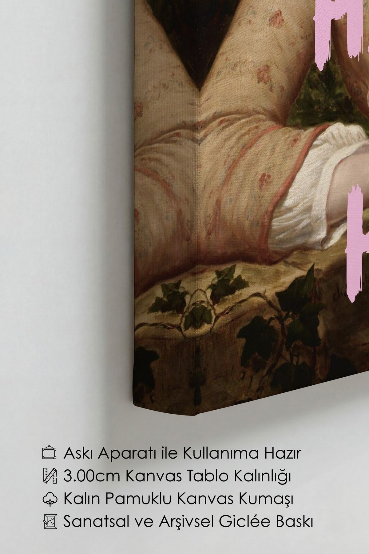 Değiştirilmiş Sanat Alternatif Sanat Kanvas Tablo — NO:105220