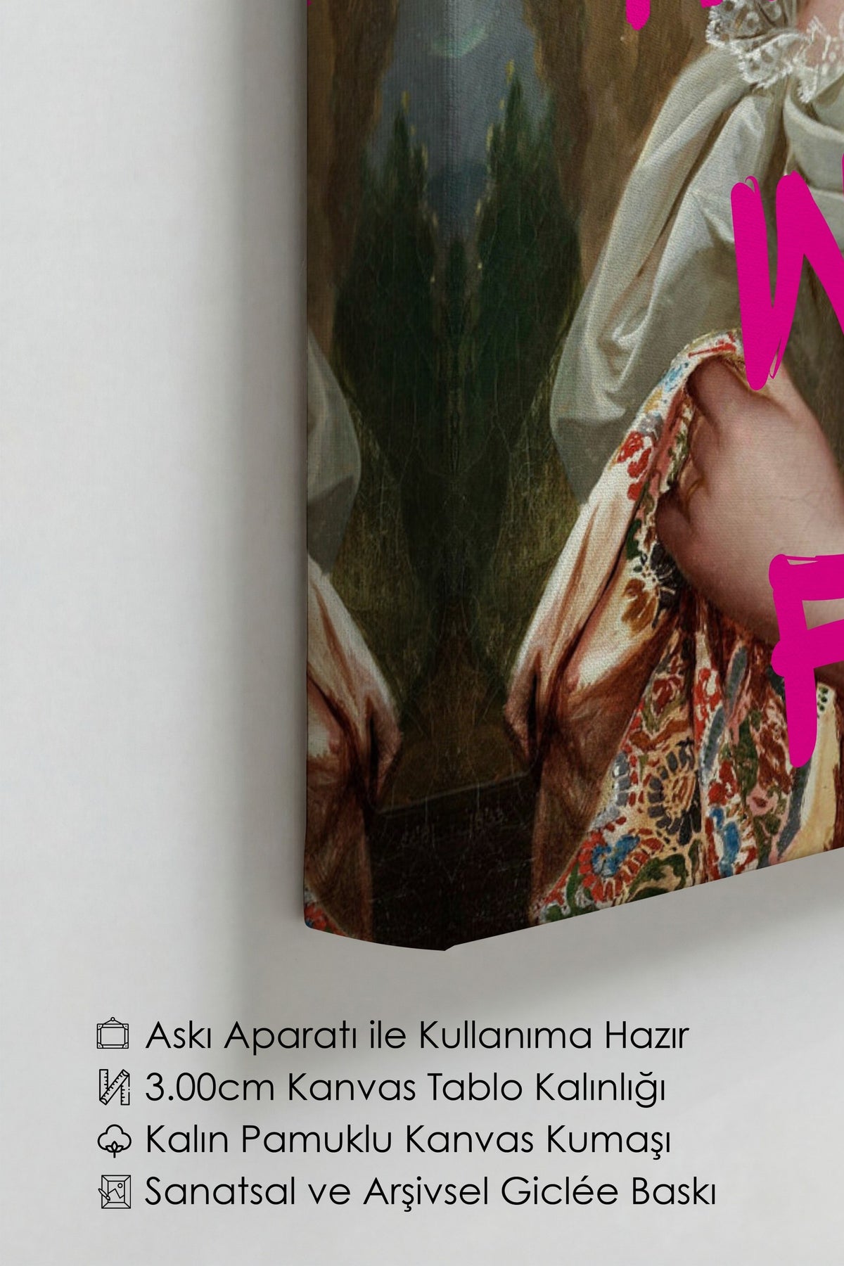 Değiştirilmiş Sanat Alternatif Sanat Kanvas Tablo — NO:105230