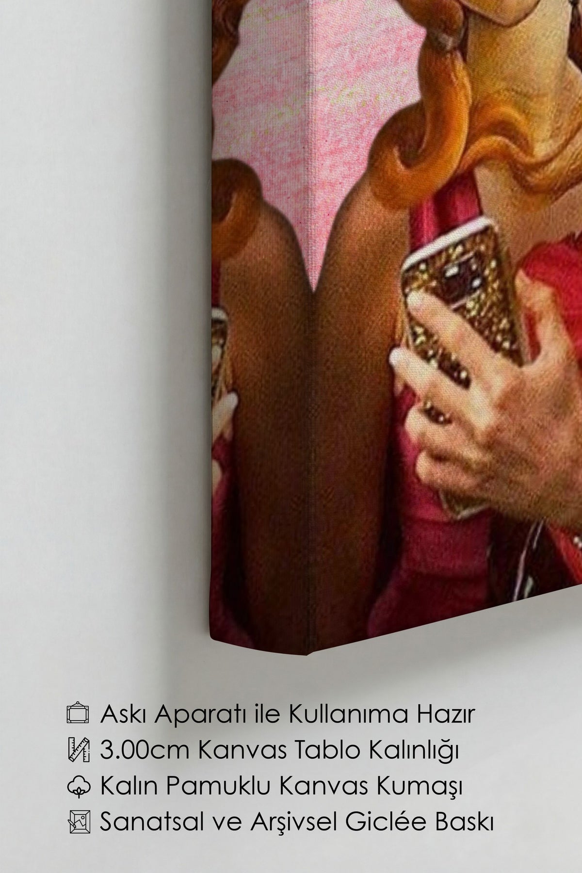 Değiştirilmiş Sanat Alternatif Sanat Kanvas Tablo — NO:105305