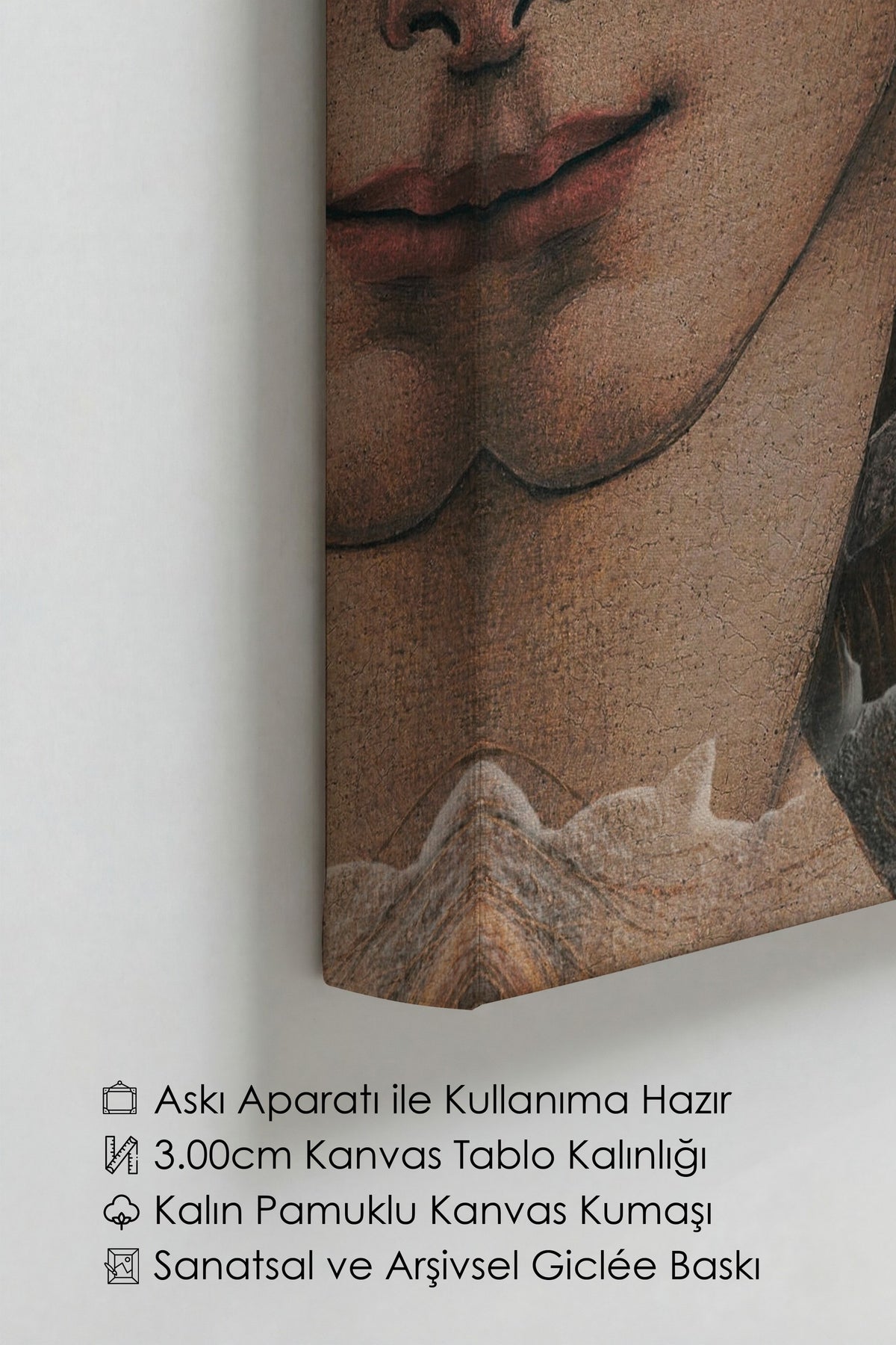 VENUS Alternatif Sanat Kanvas Tablo