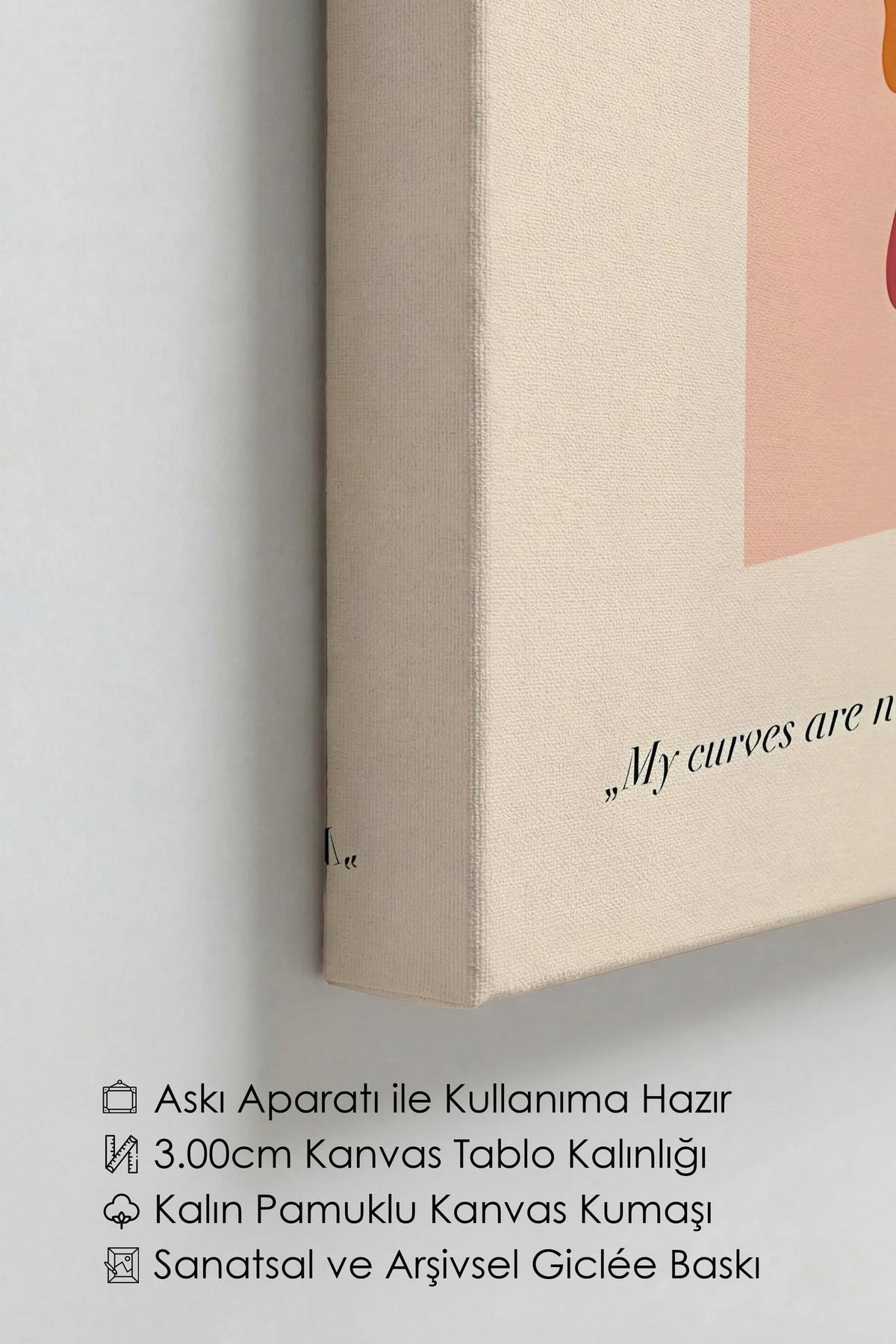 My curves are not crazy. İllüstrasyon Kanvas Tablo