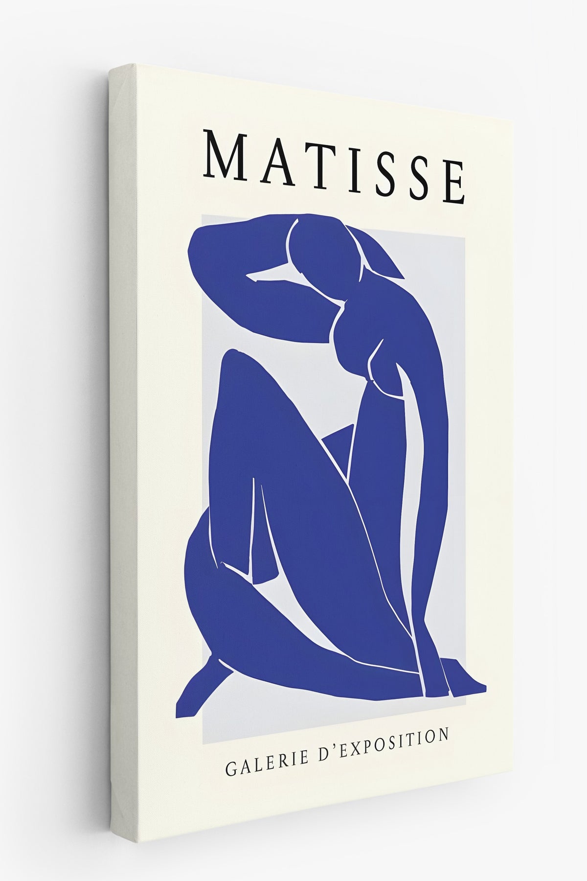 Farklı Tonlarda MATISSE İllüstrasyon Kanvas Tablo — NO:105436