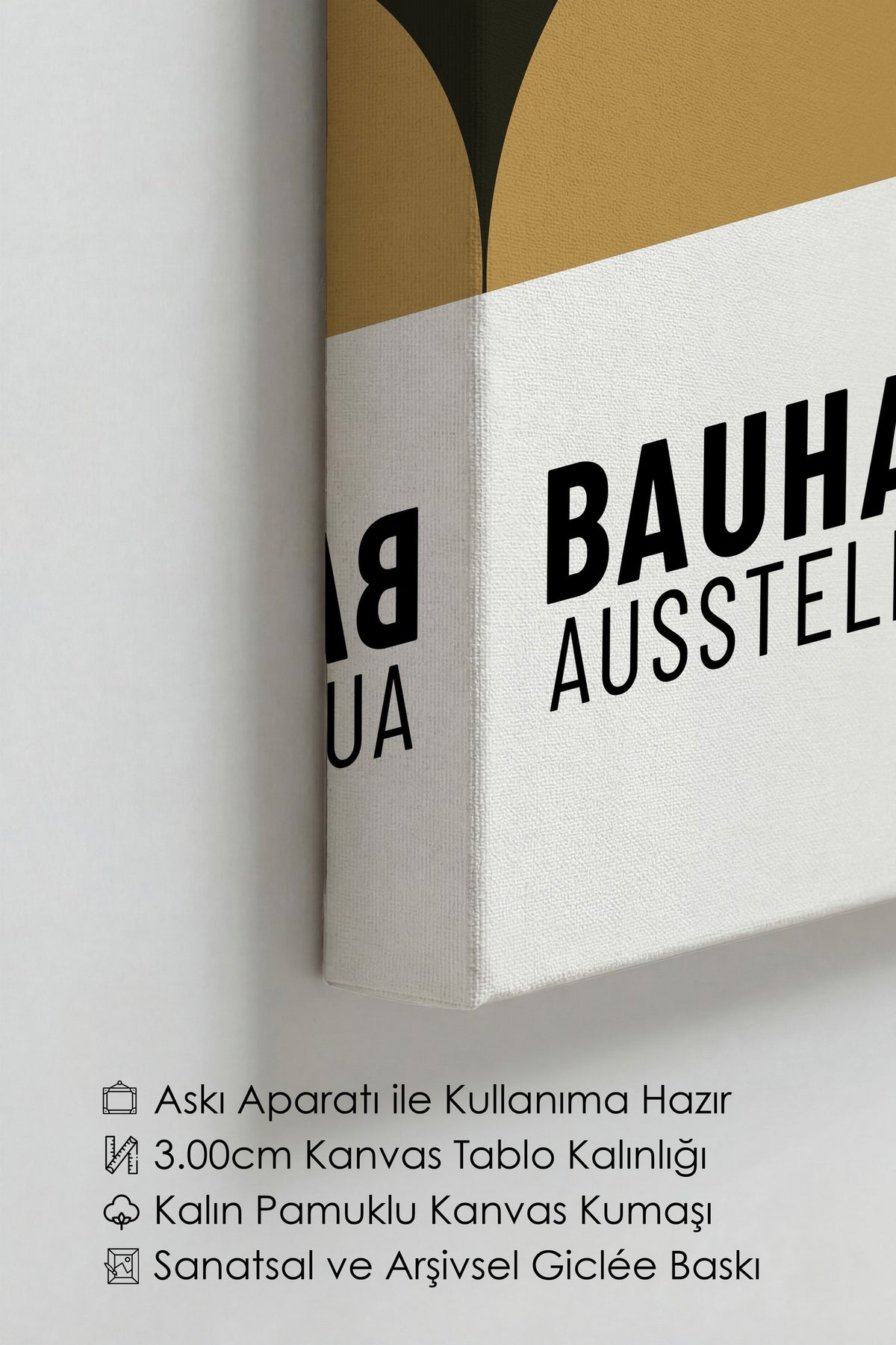 Soft Duvar Bauhaus Kanvas Tablo