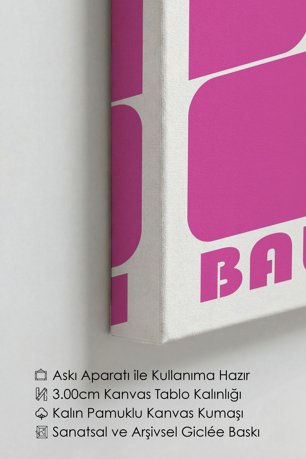 Pembe Duvar Bauhaus Kanvas Tablo — NO:105462