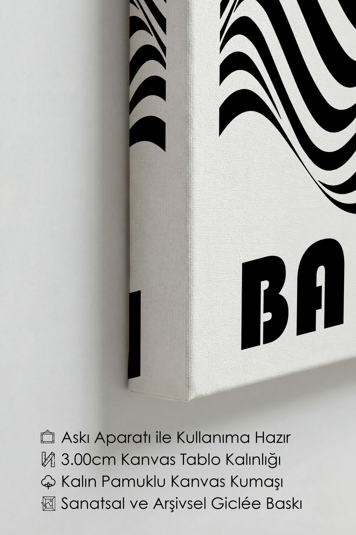 Farklı Tonlarda BAUHAUS Kanvas Tablo — NO:105463