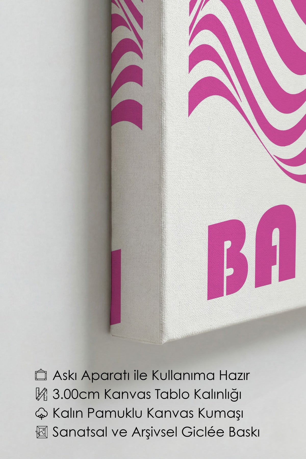 Pembe Duvar Bauhaus Kanvas Tablo — NO:105467