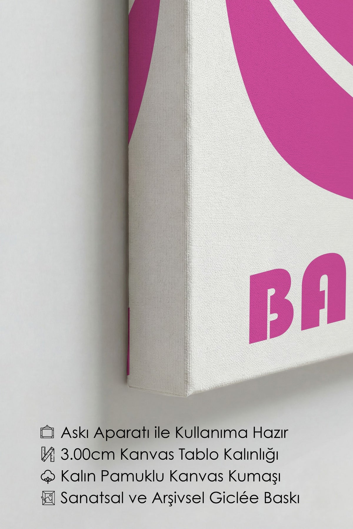 Pembe Duvar Bauhaus Kanvas Tablo