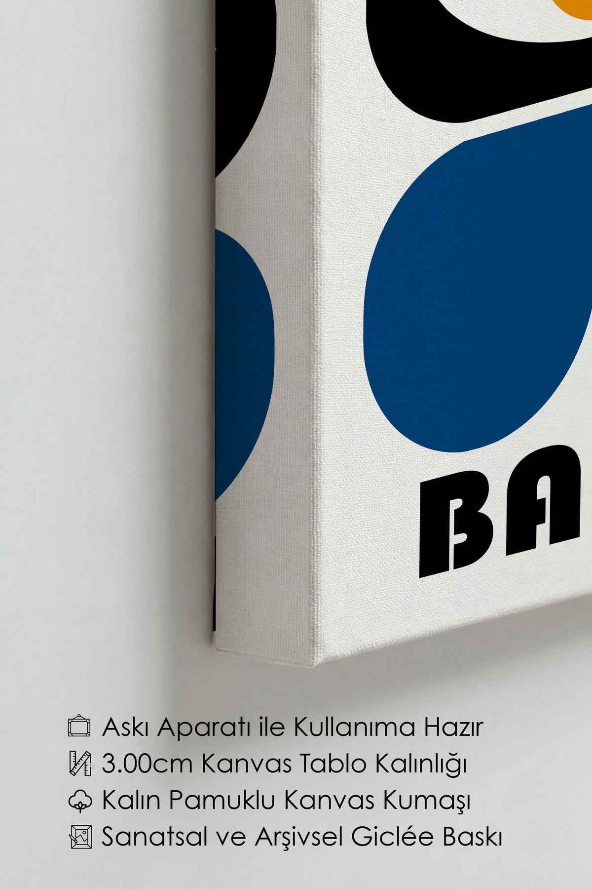 Farklı Tonlarda Bauhaus Kanvas Tablo — NO:105491