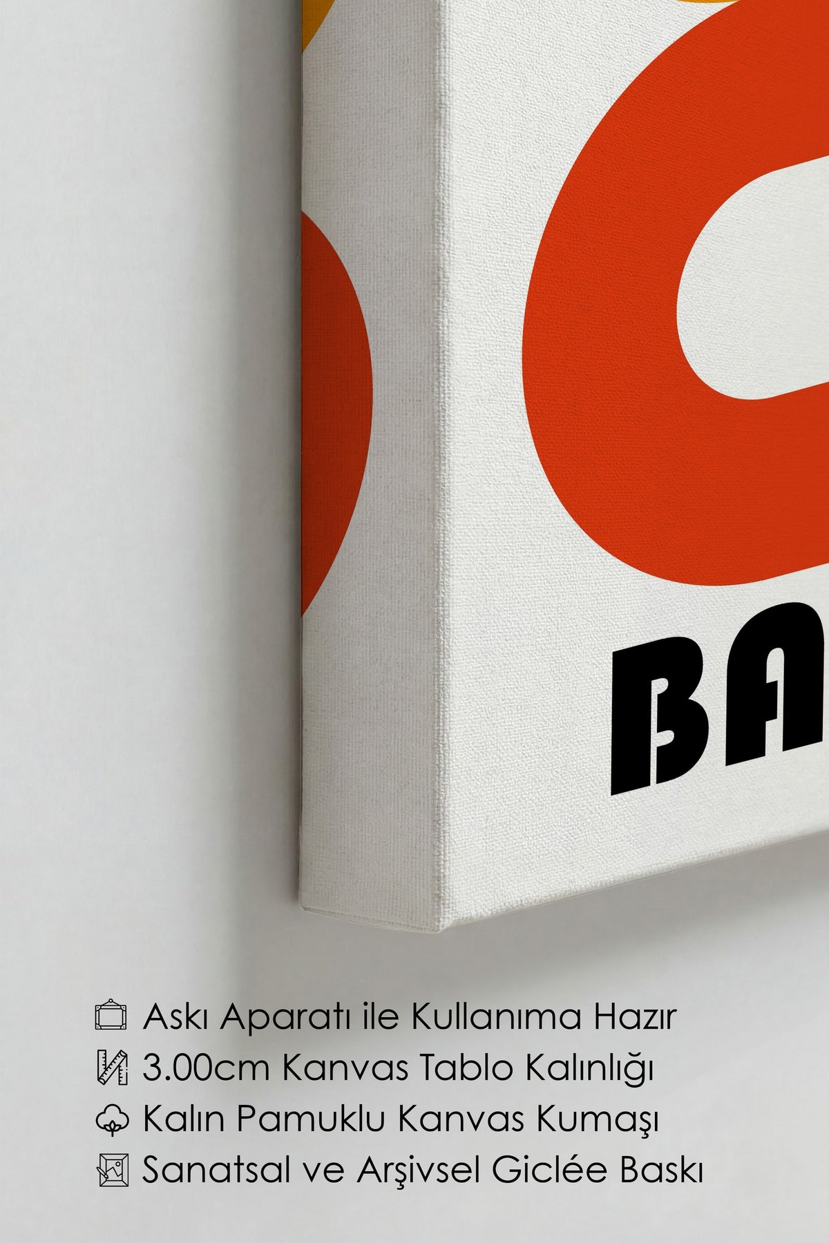 Farklı Tonlarda BAUHAUS Kanvas Tablo — NO:105494