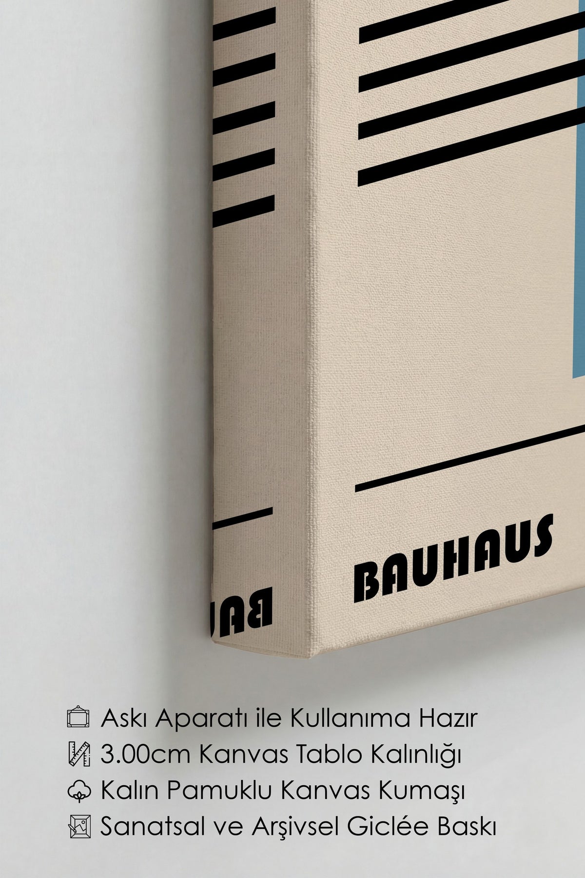 Farklı Tonlarda BAUHAUS Kanvas Tablo — NO:105524