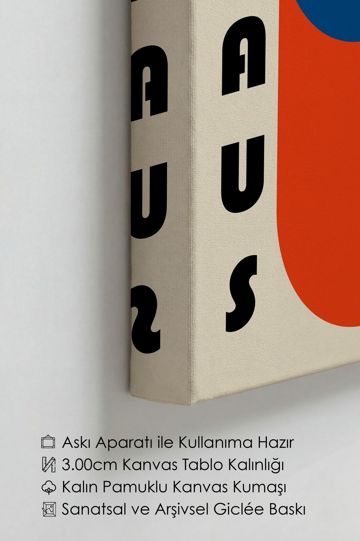 Farklı Tonlarda BAUHAUS Kanvas Tablo — NO:105530