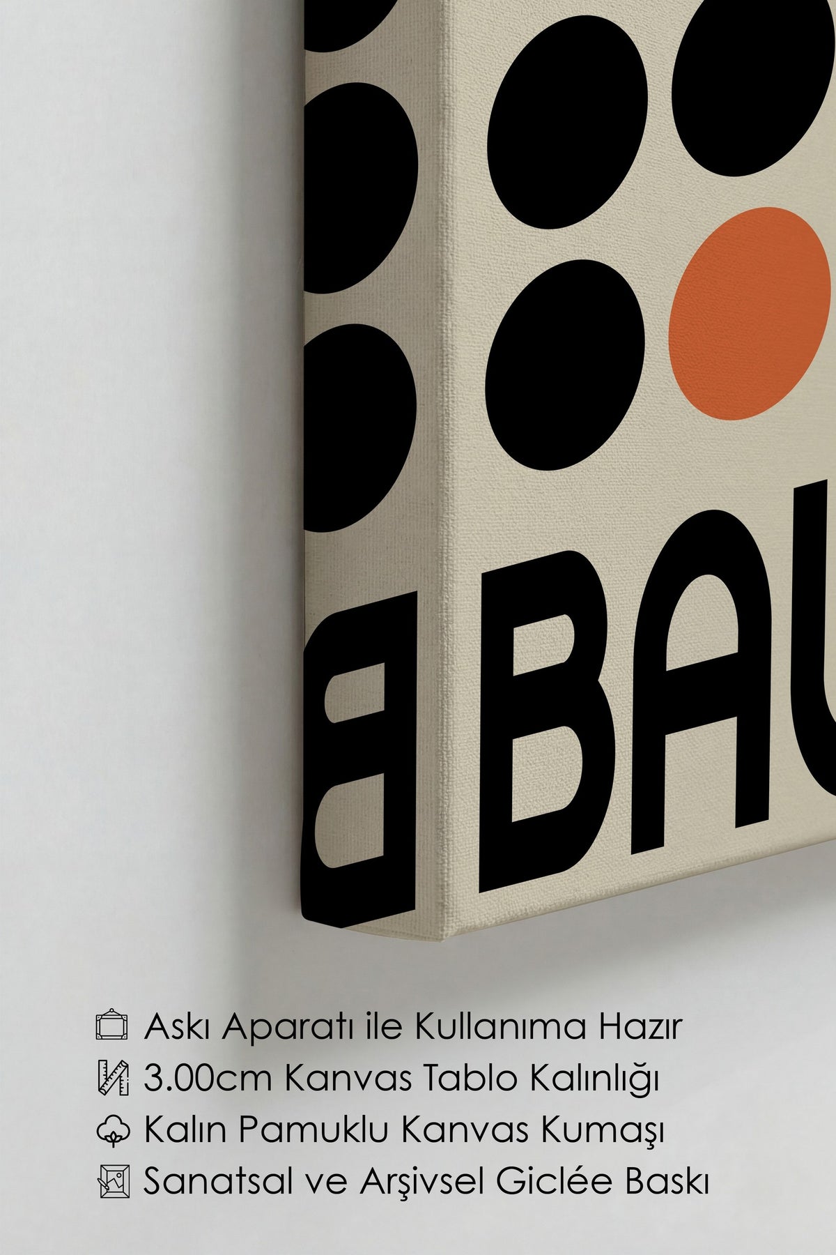 Farklı Tonlarda BAUHAUS Kanvas Tablo — NO:105539