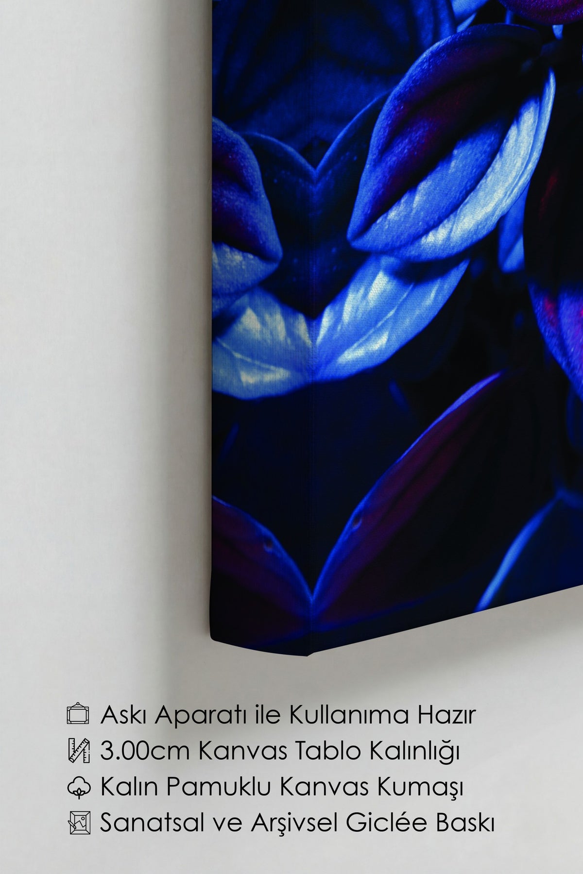 Renkli Yapraklar Fotoğraf Kanvas Tablo