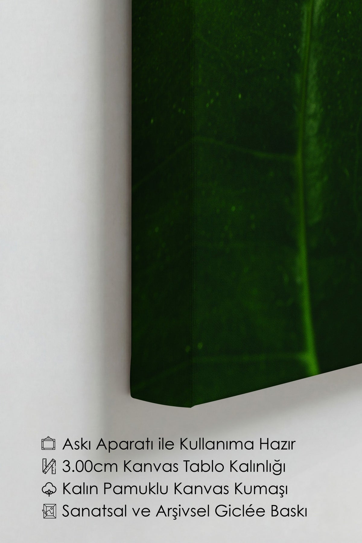 Yaprak Detayı Fotoğraf Kanvas Tablo