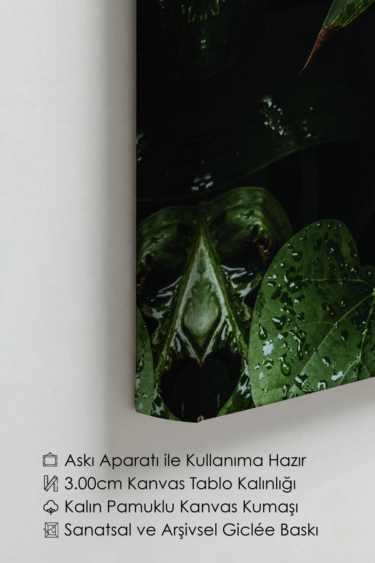 Botanik & Yaprak Tablo No:49 Kanvas Tablo