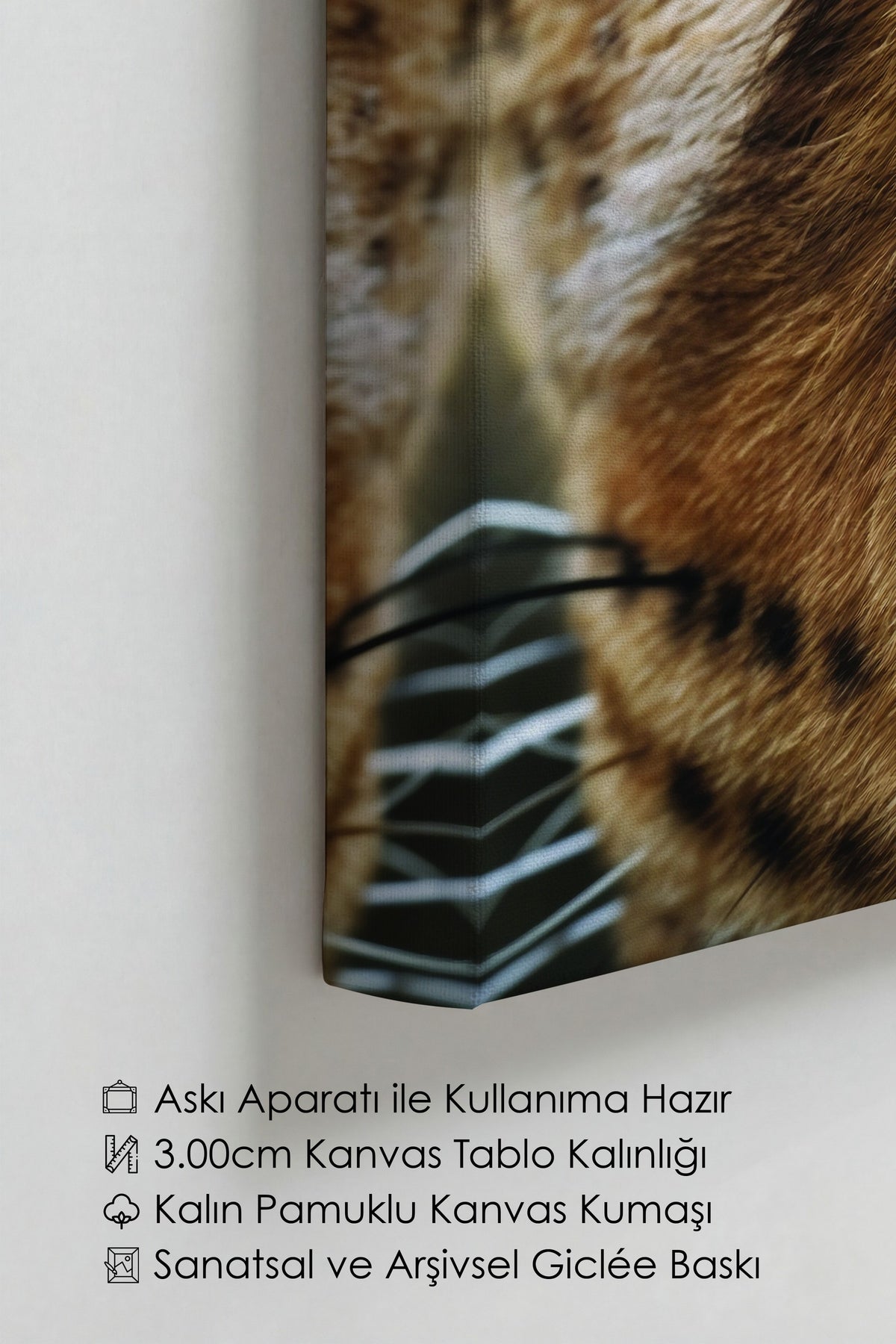 Yırtıcı Bakış Fotoğraf Kanvas Tablo