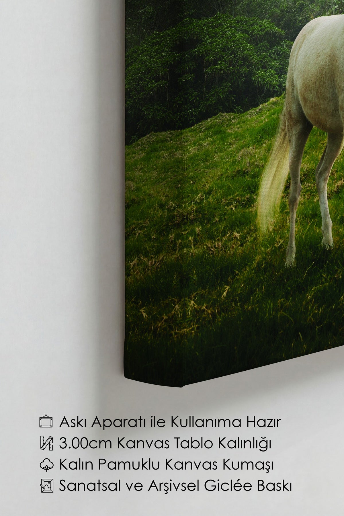 Dağlarda Tek Boynuzlu At Fotoğraf Kanvas Tablo