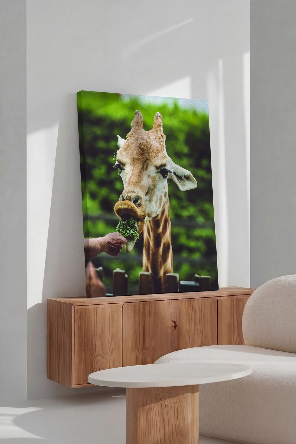 Zürafa Besleme Fotoğraf Kanvas Tablo