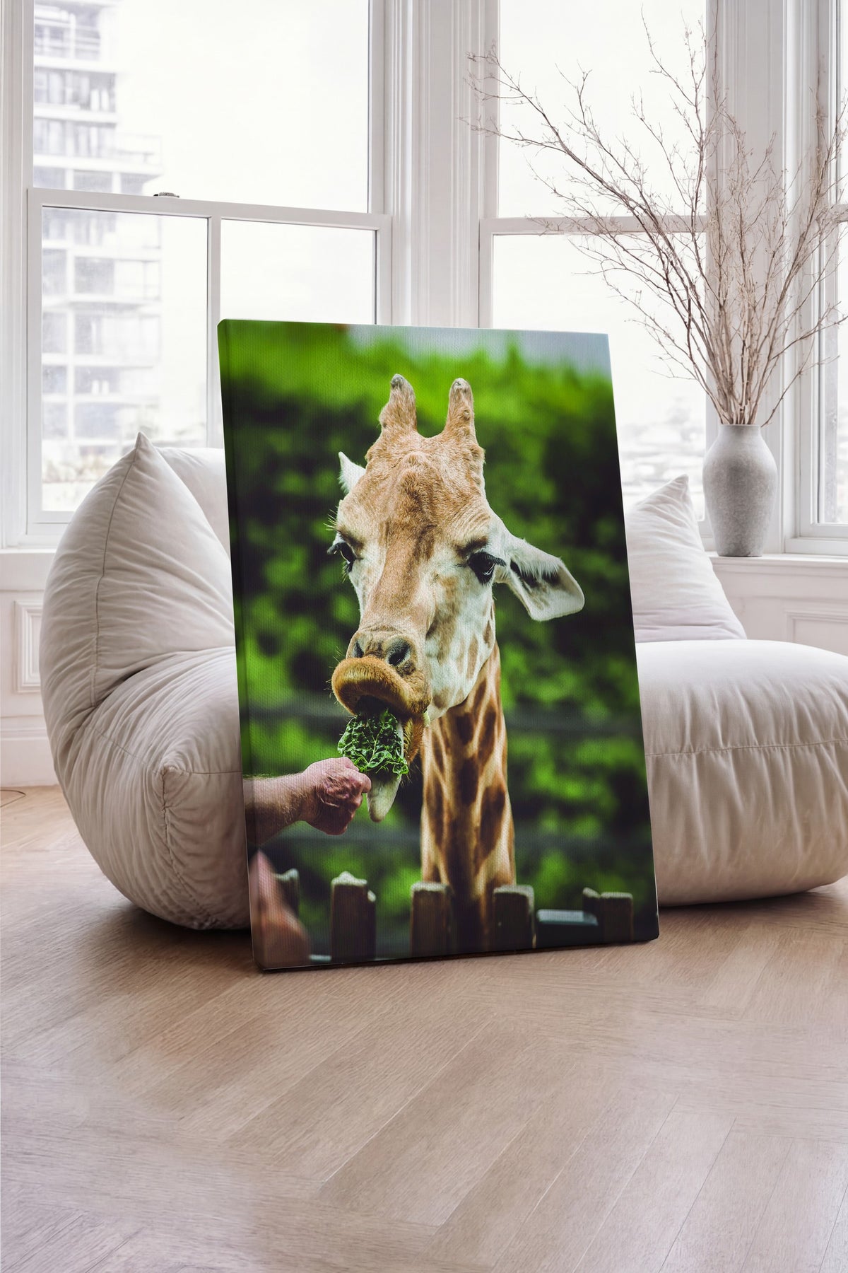 Zürafa Besleme Fotoğraf Kanvas Tablo