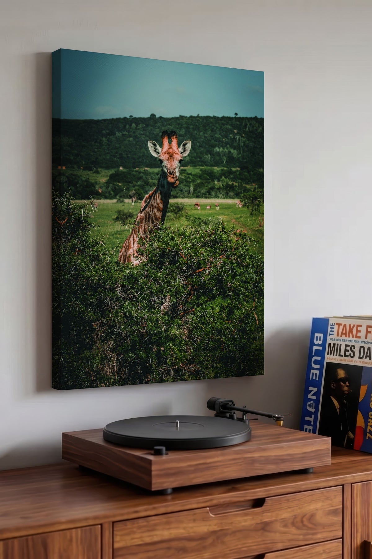 Farklı Tonlarda Doğada Zürafa Fotoğraf Kanvas Tablo