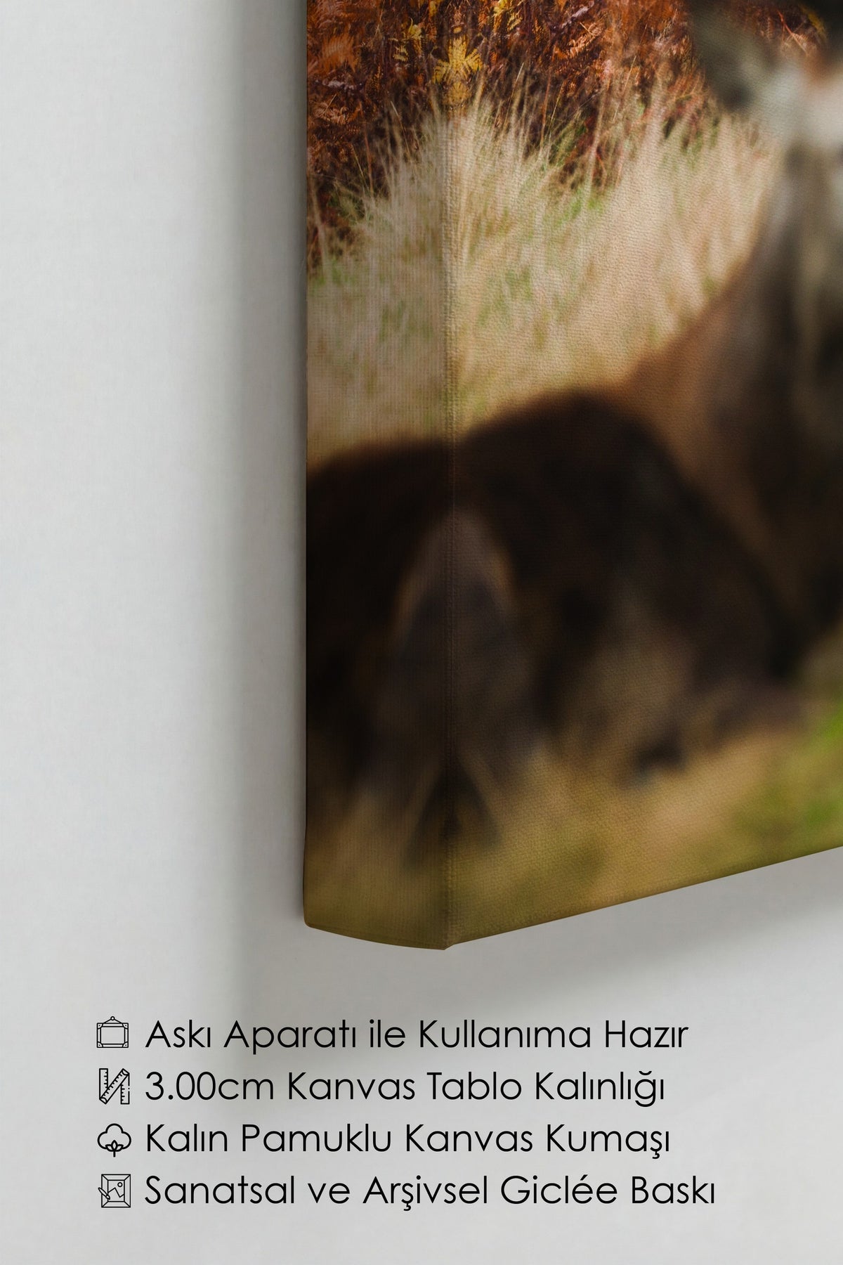 Geyik Manzarası Fotoğraf Kanvas Tablo