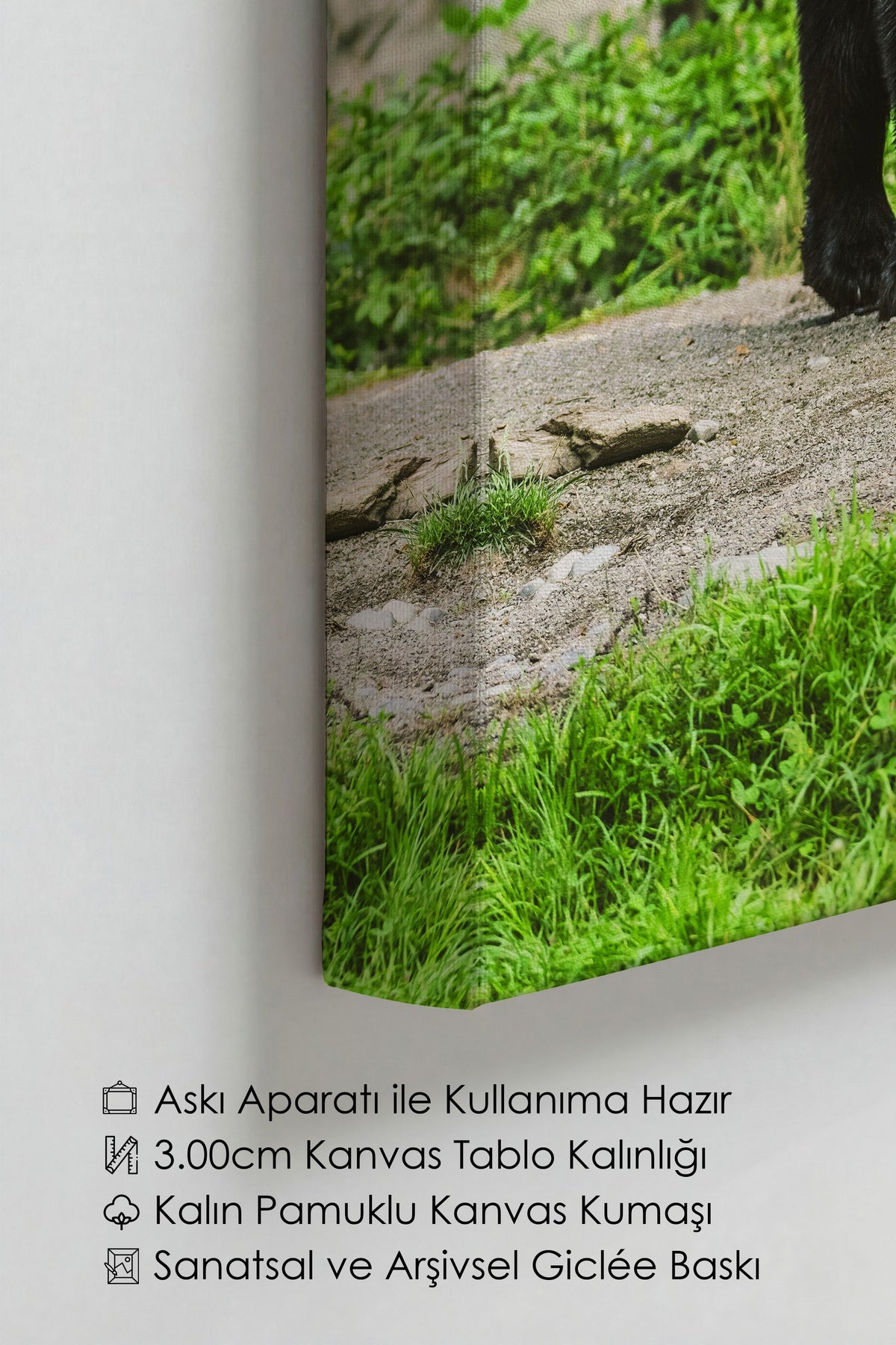 Doğada Yürüyen Ayı Fotoğraf Kanvas Tablo