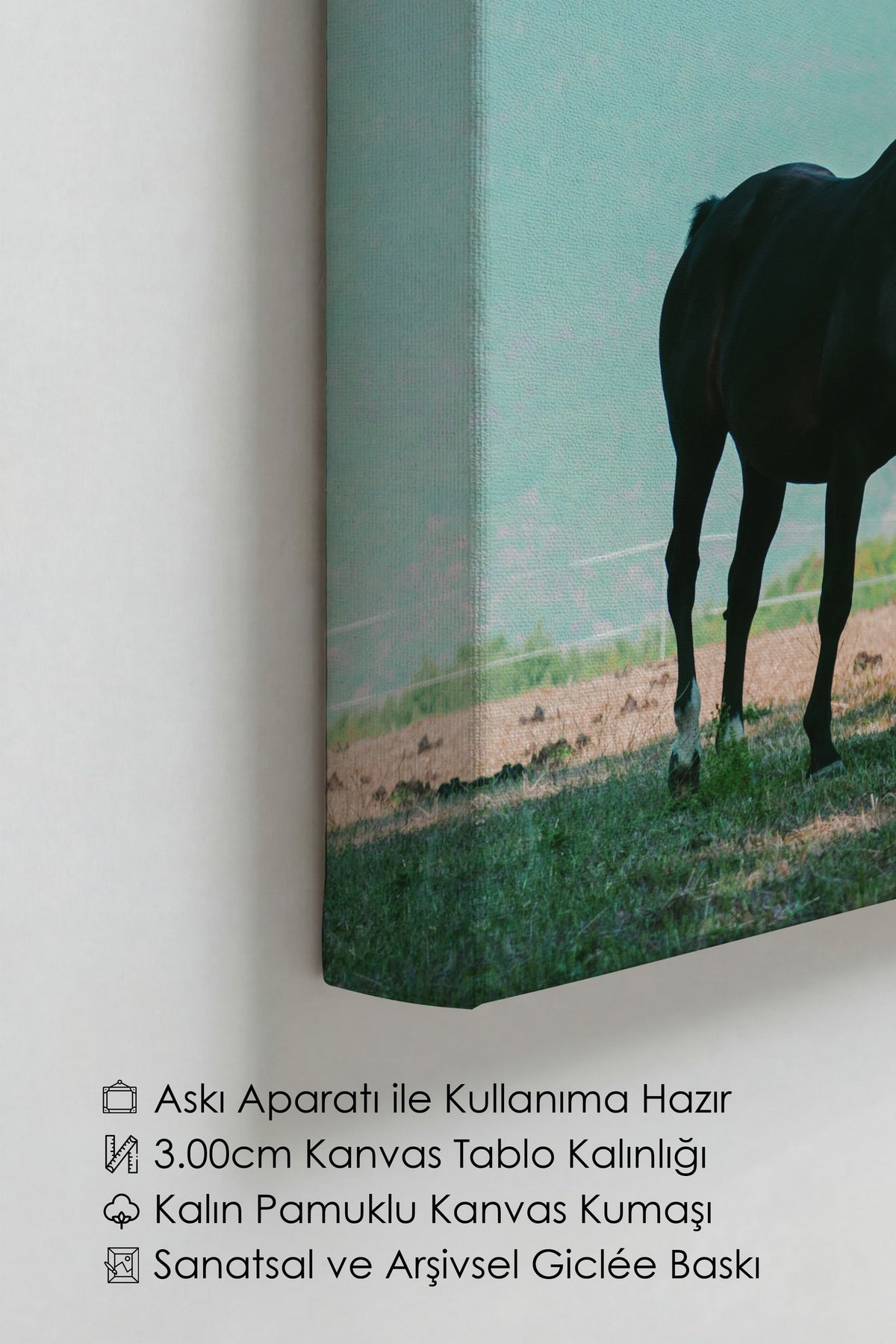 Doğada Atlar Fotoğraf Kanvas Tablo