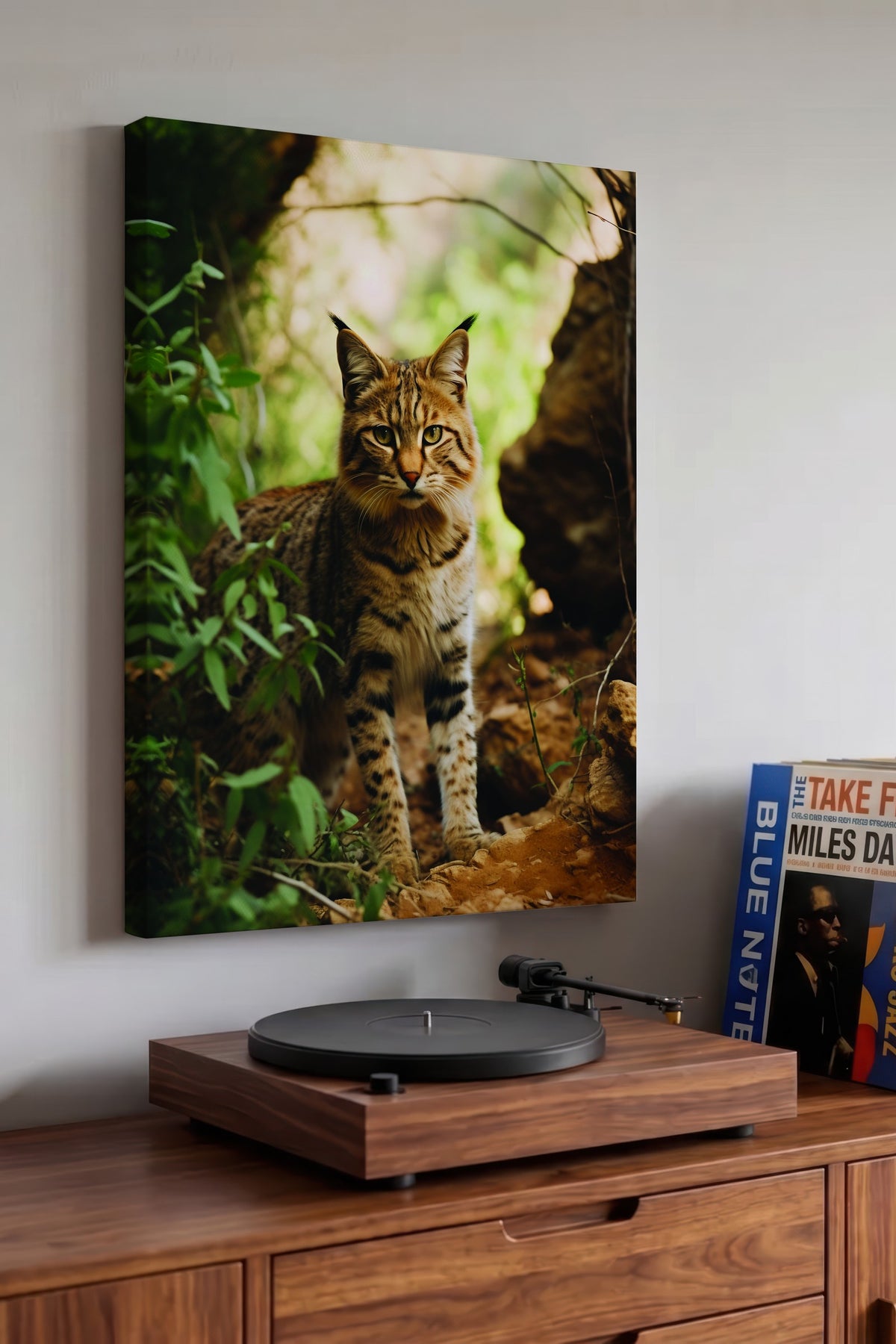 Doğada Vahşi Kedi Fotoğraf Kanvas Tablo