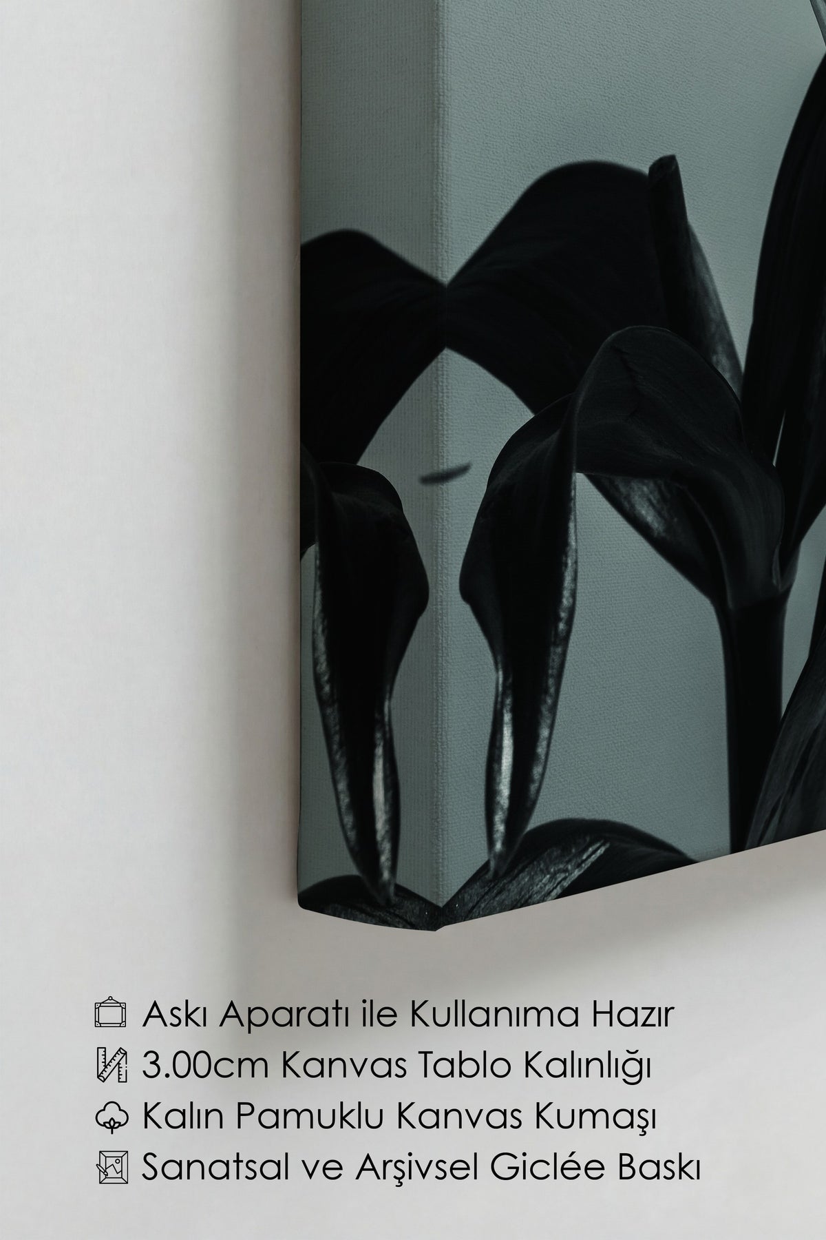& Fotoğraf No:2 Kanvas Tablo