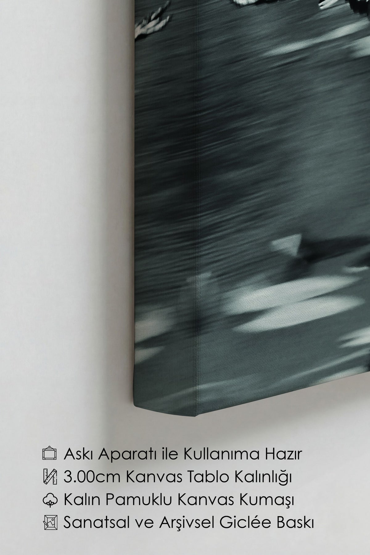 Uçan Kuş Fotoğraf Kanvas Tablo