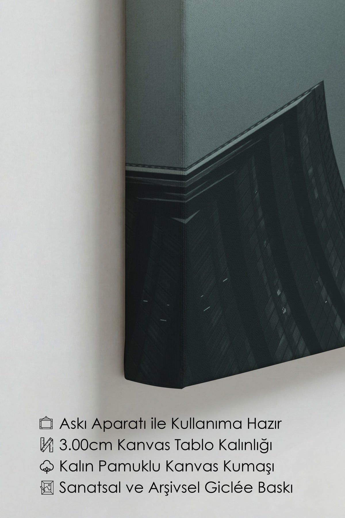 Kuşlar ve Mimari Fotoğraf Kanvas Tablo