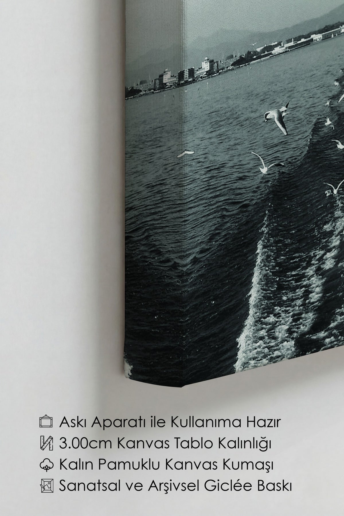 Martılar ve Deniz Manzarası Fotoğraf Kanvas Tablo