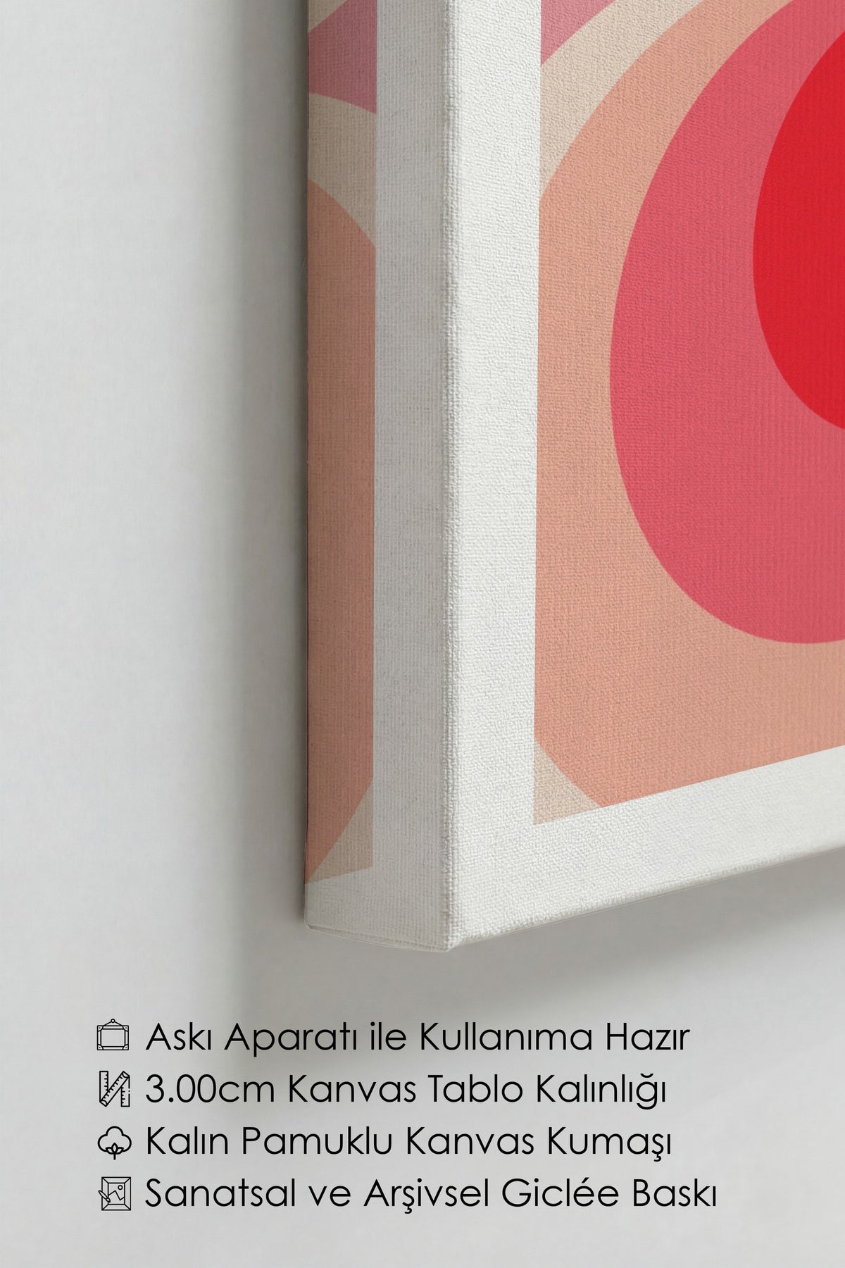 Geometrik Daireler Maximalist Kanvas Tablo
