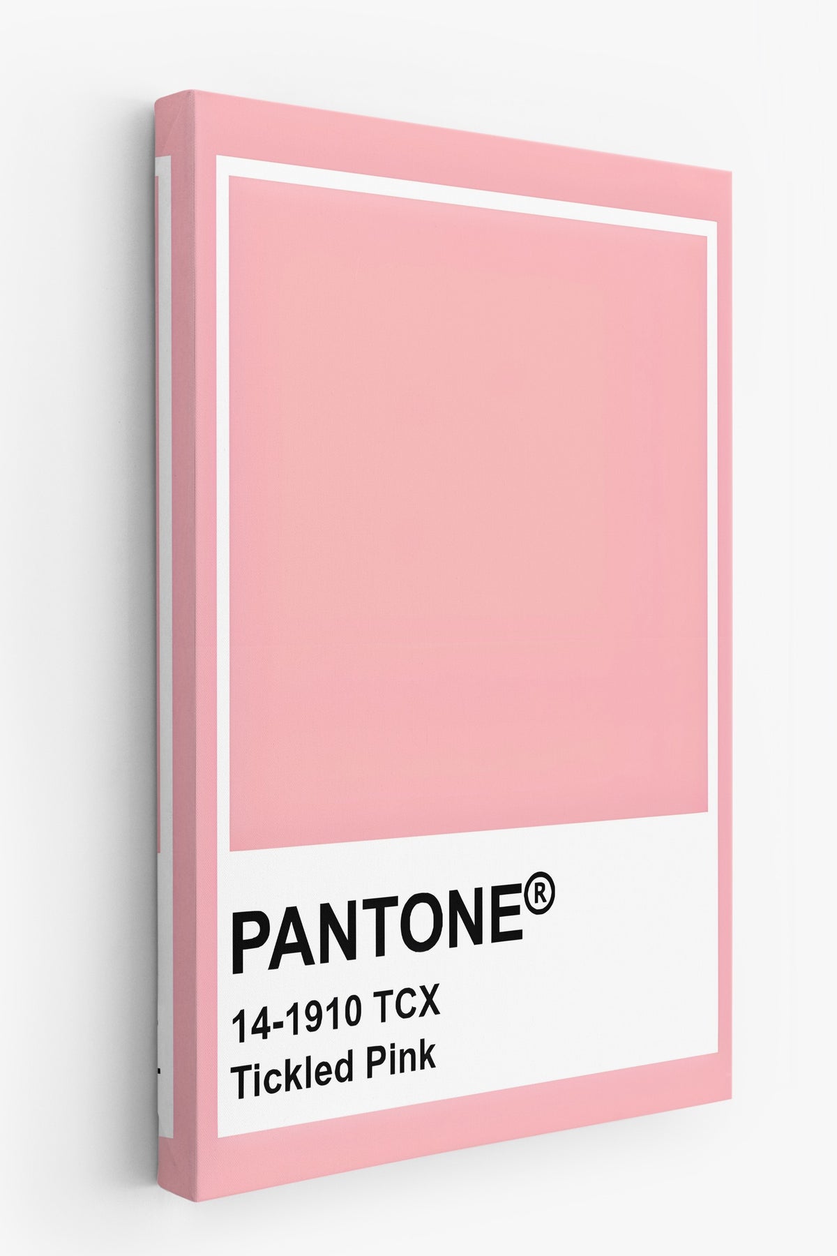 PANTONE 14-1910 TCX Tickled Pink Maximalist Kanvas Tablo
