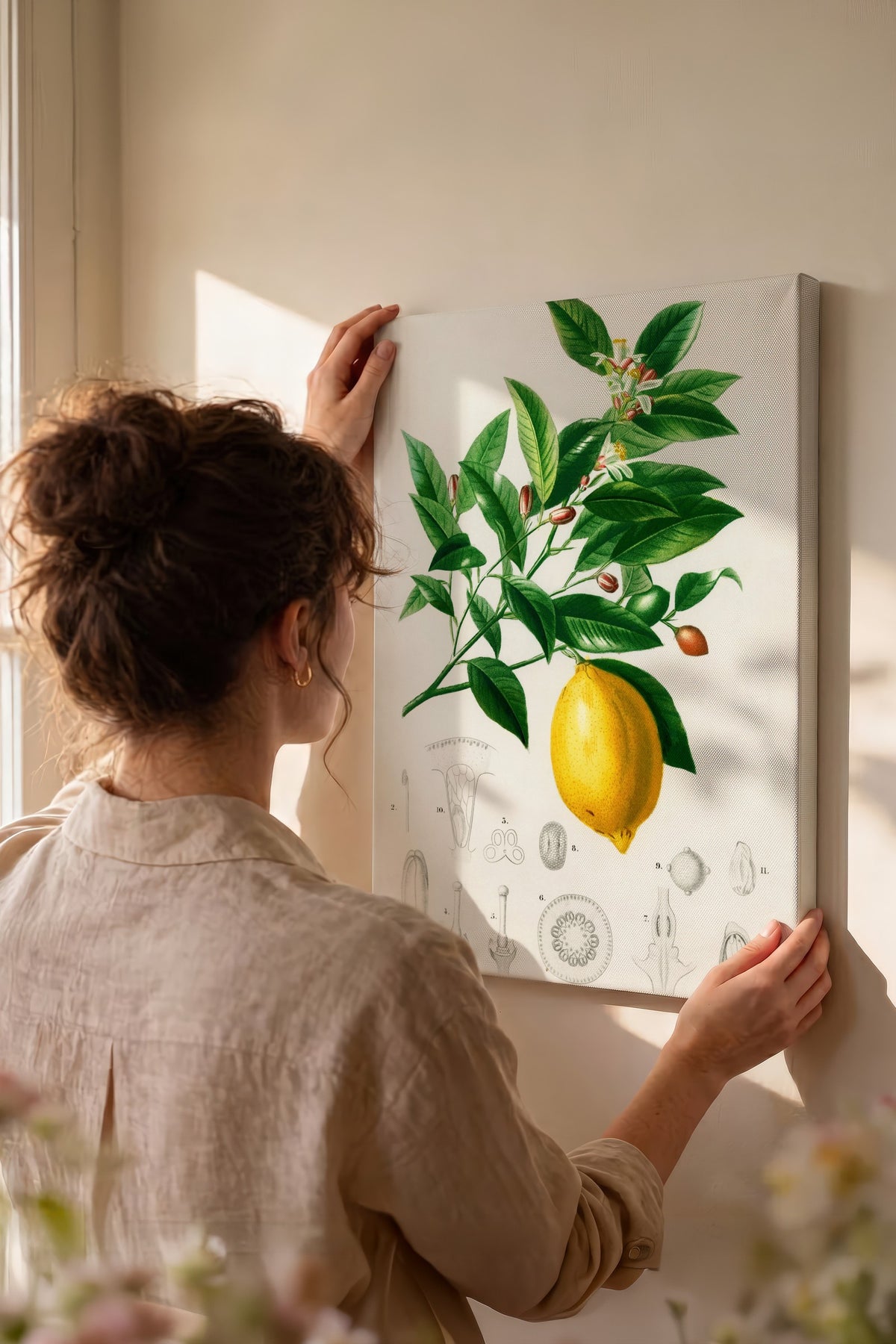 Botanik Limon İllüstrasyonu Maximalist Kanvas Tablo